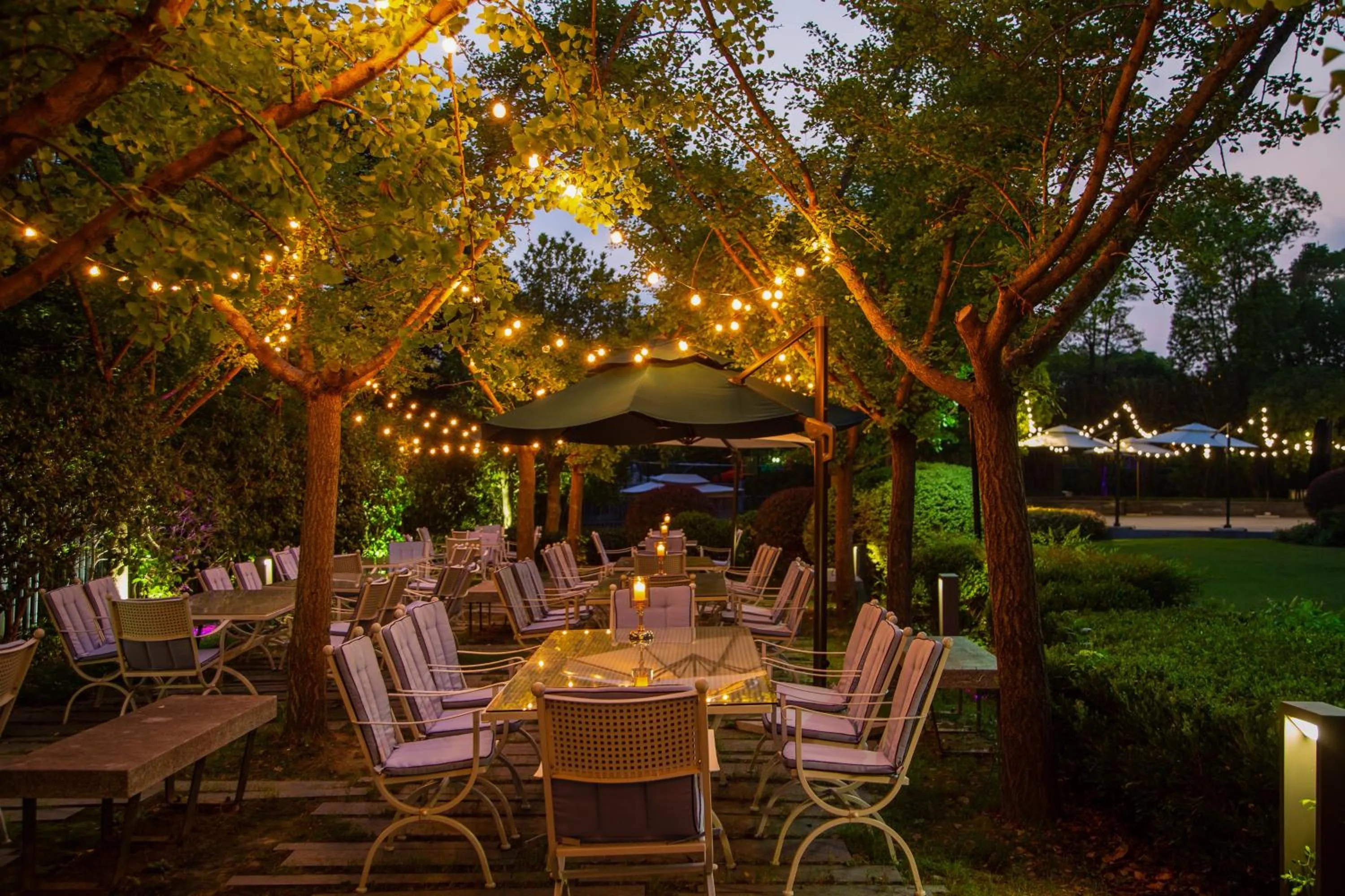 Garden in The Senz Hotel & SPA