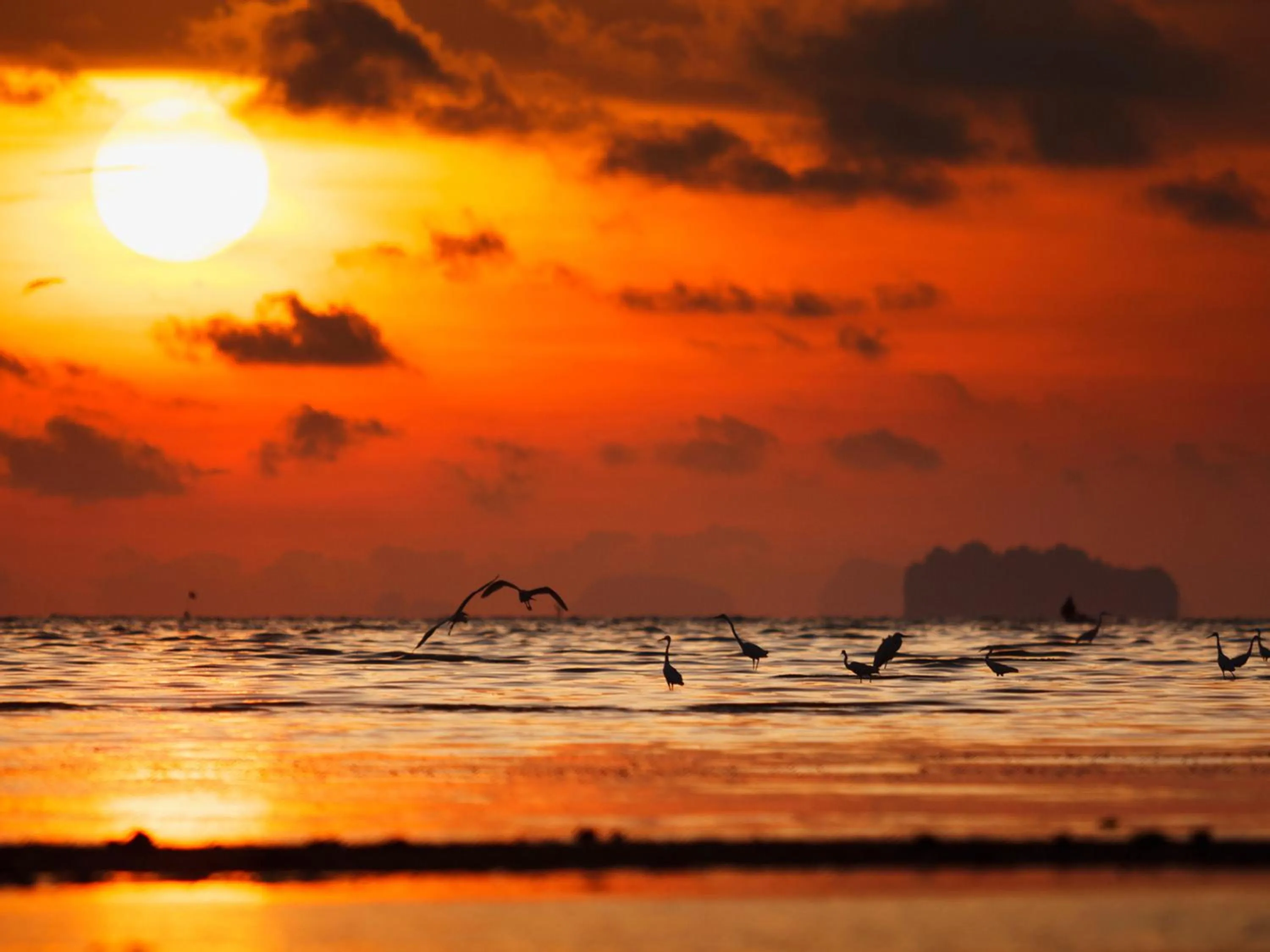 Nearby landmark in Ibis Styles Phuket City
