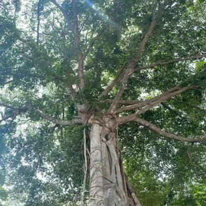 Day in Koh Jum Ocean Beach Resort