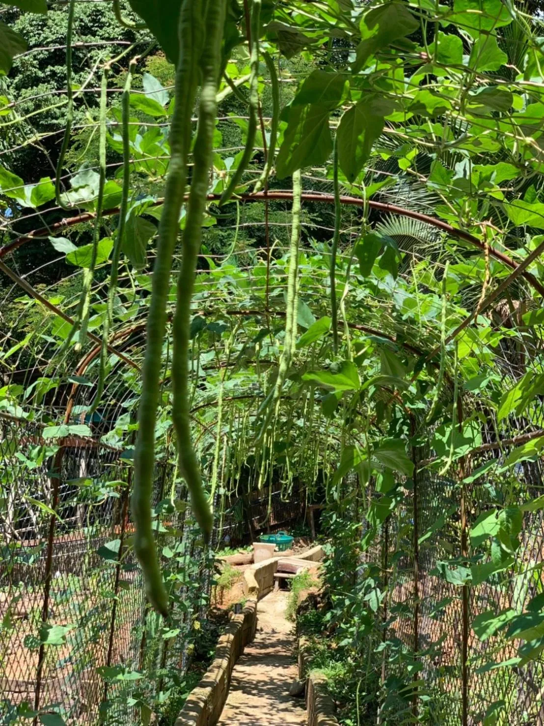 On site in Koh Jum Ocean Beach Resort