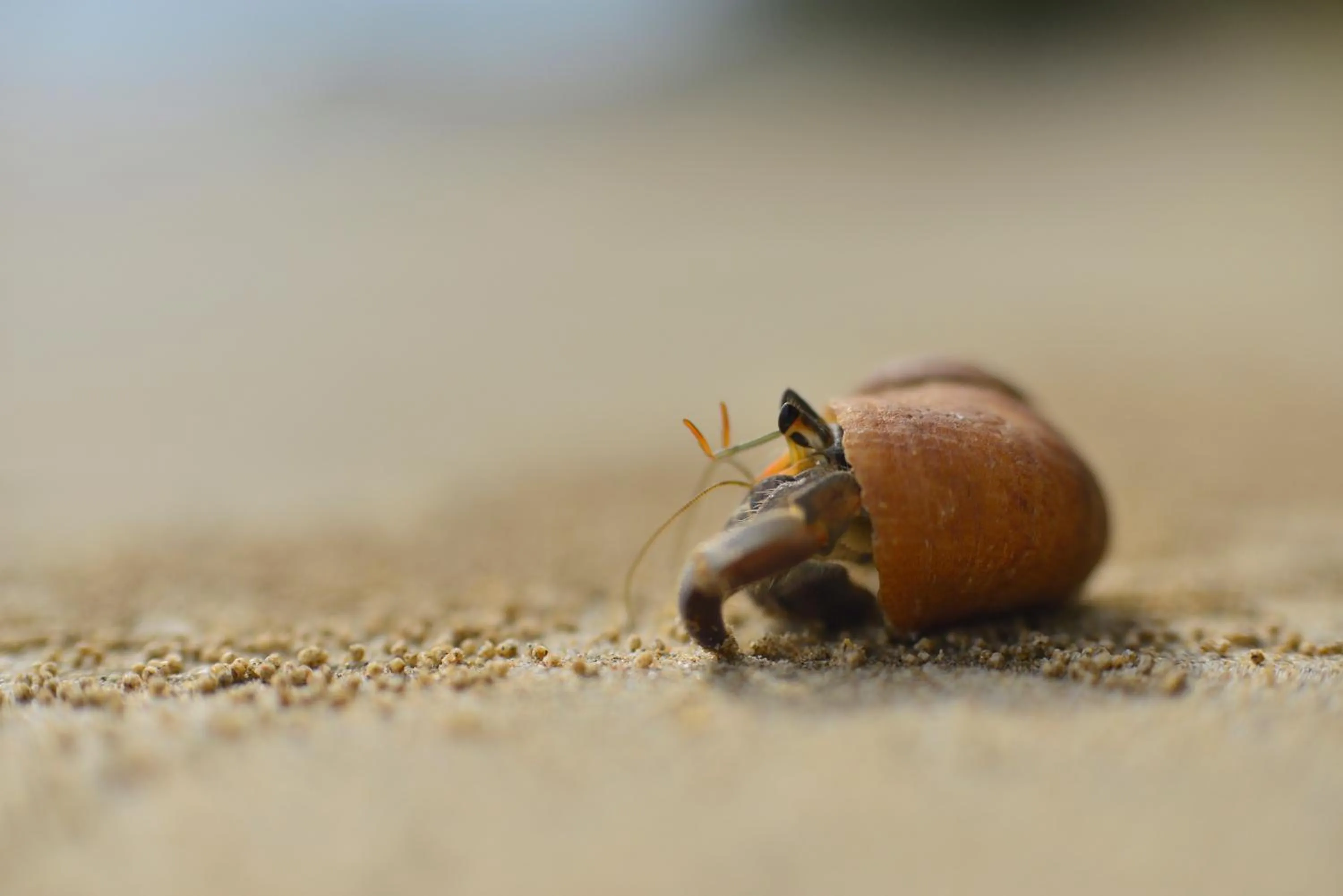 Natural landscape in Koh Jum Ocean Beach Resort