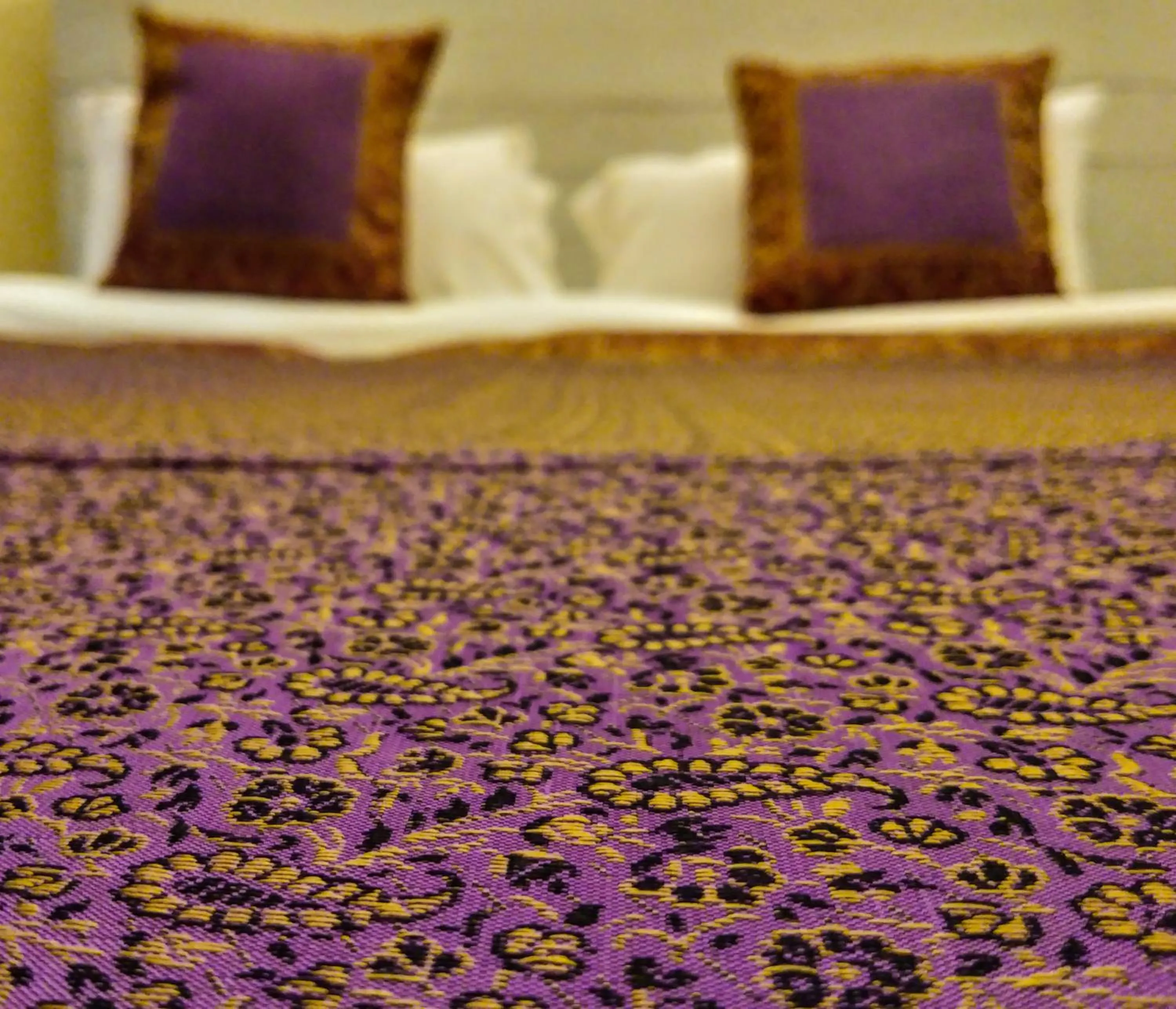 Dwivedi Hotels Hotel Elena