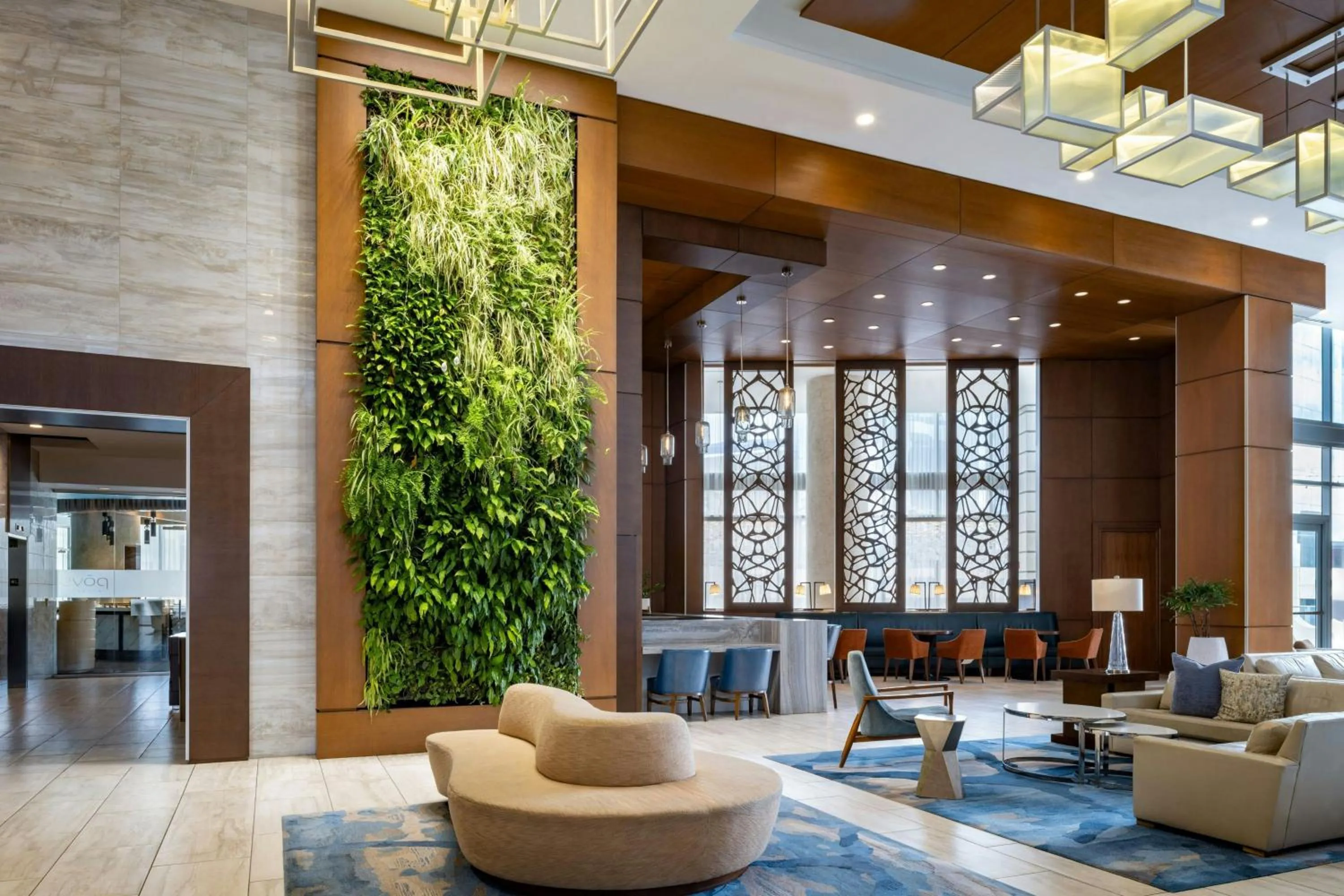 Lounge or bar in The Westin Sarasota