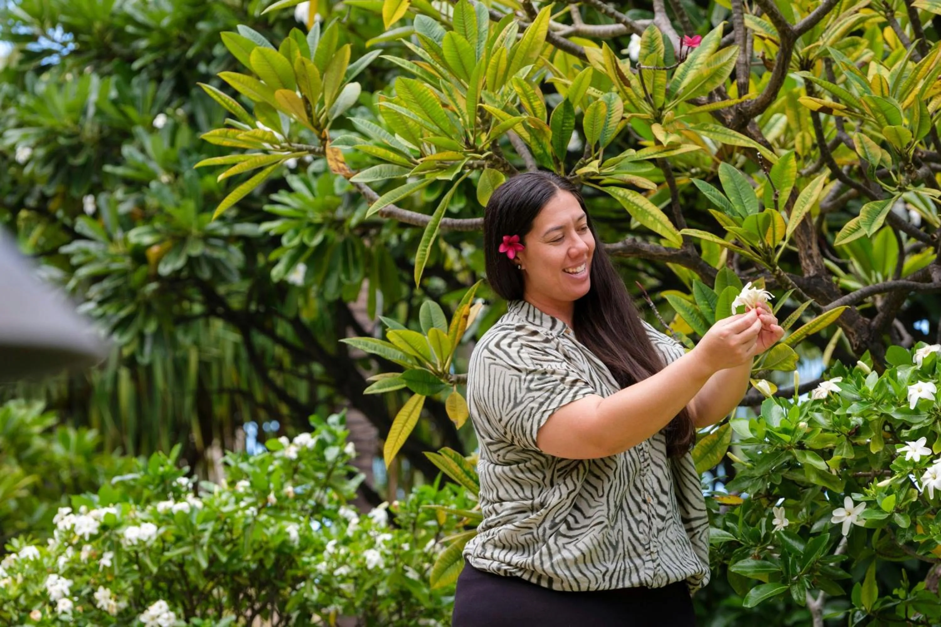 Other in The Westin Nanea Ocean Villas, Ka'anapali