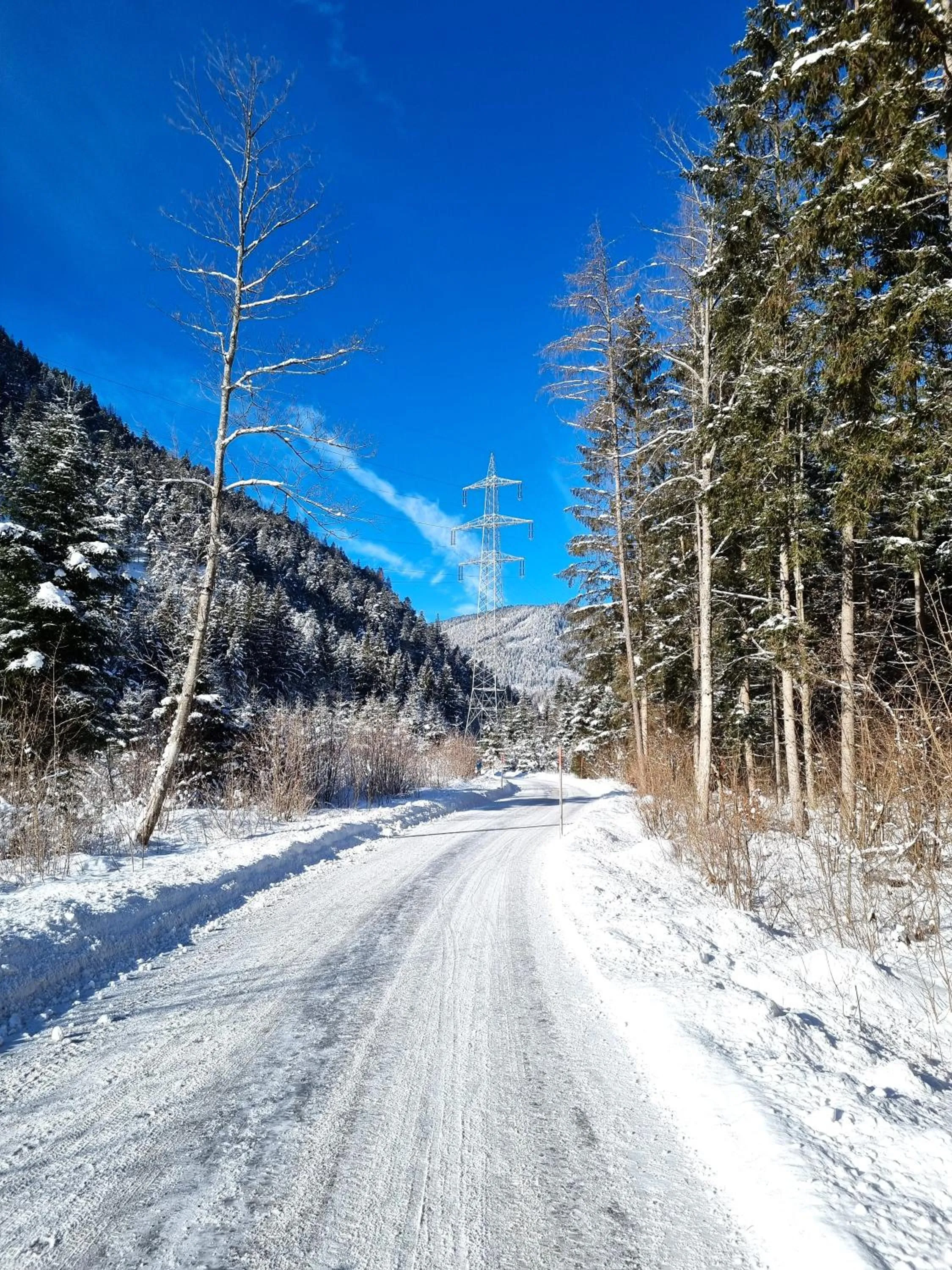 Staff in Hotel & Gasthof Taferne