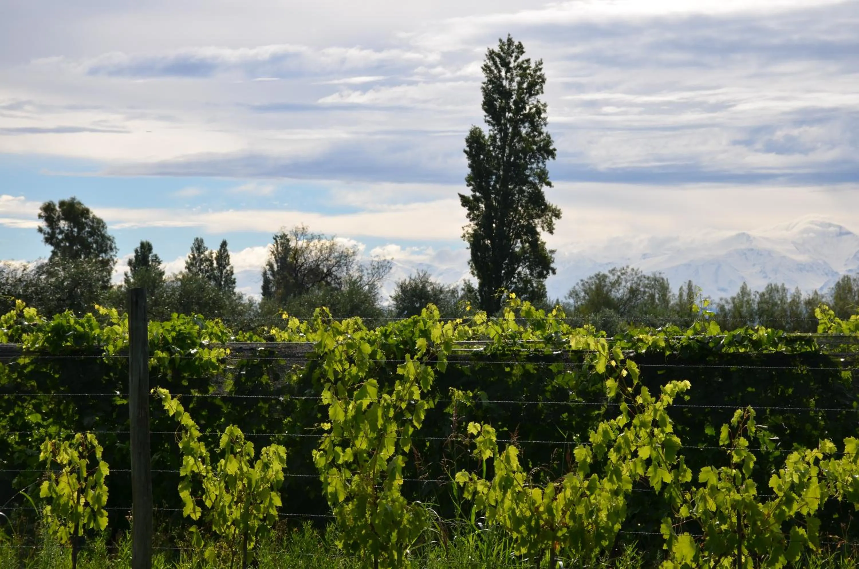 Property building in Finca Fisterra