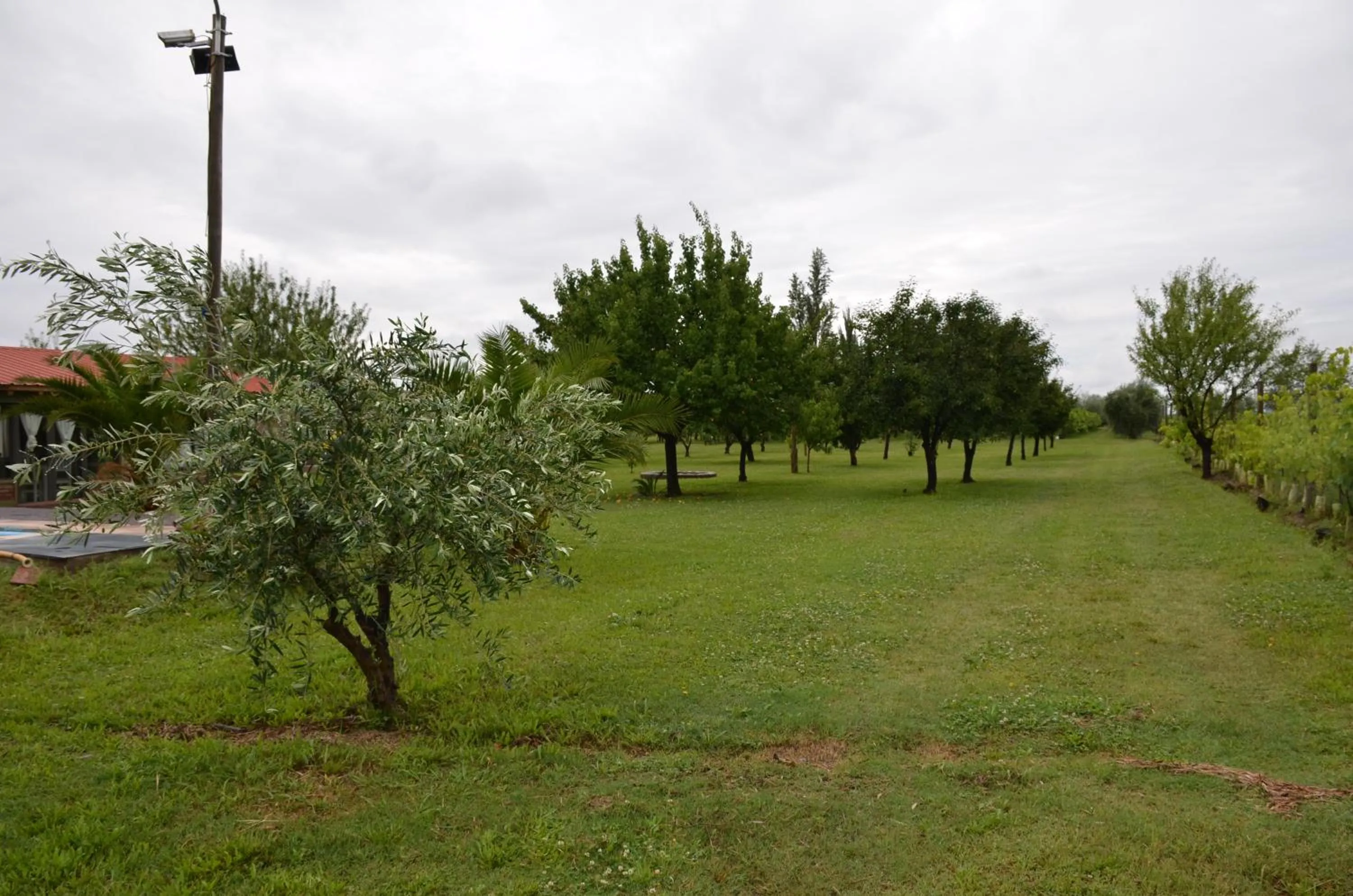 Garden view in Finca Fisterra