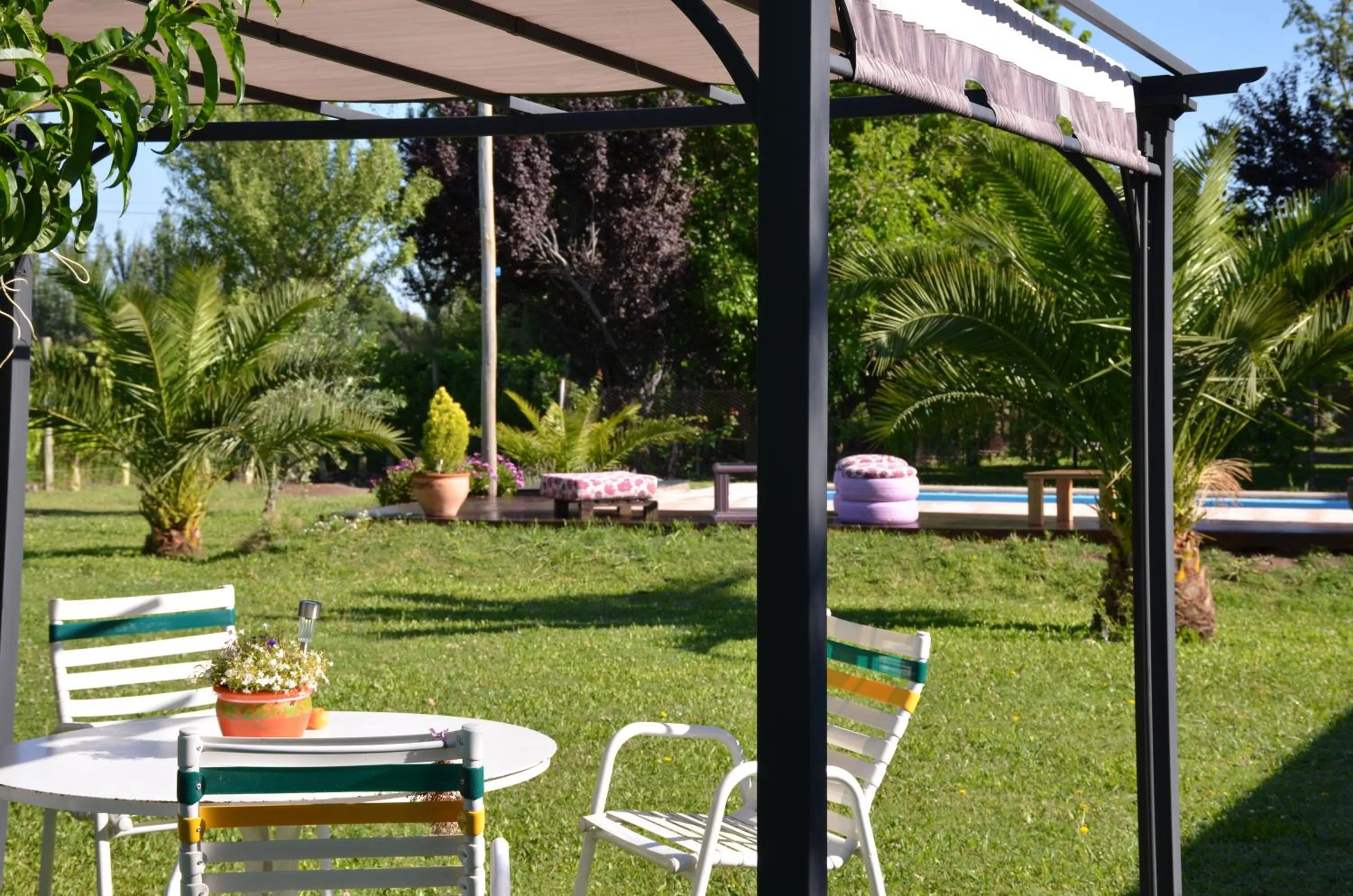 Garden in Finca Fisterra