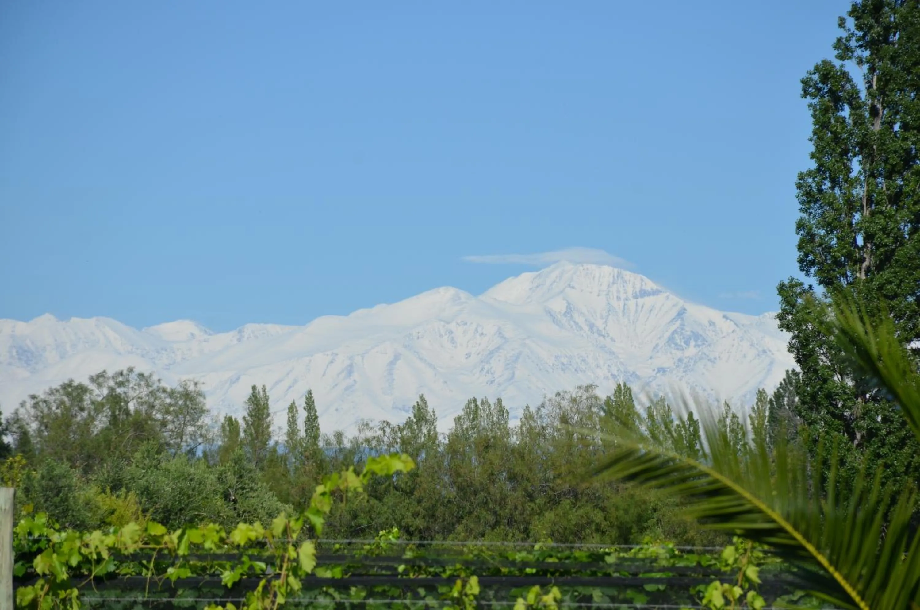 Garden in Finca Fisterra