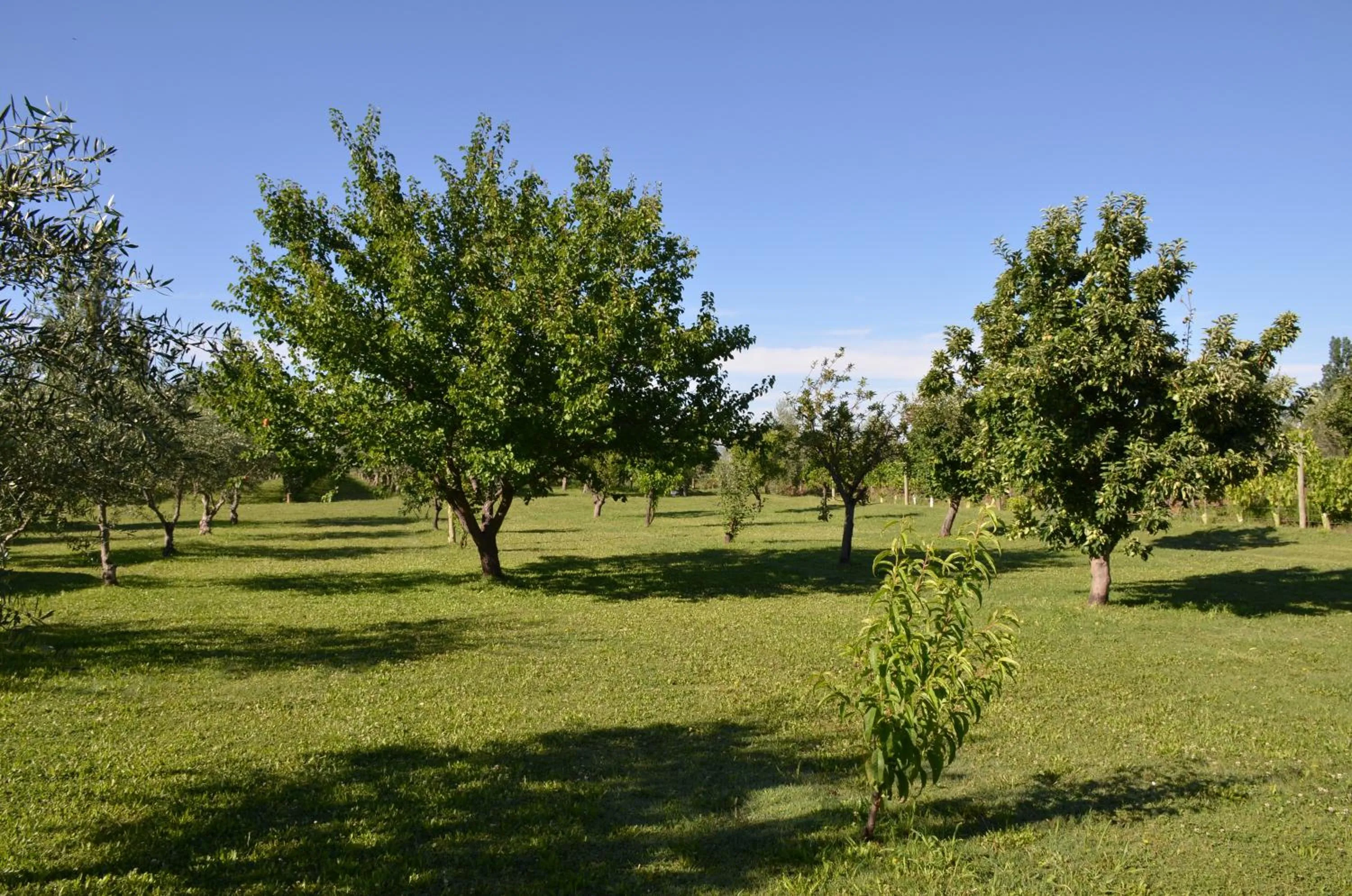 Garden view in Finca Fisterra