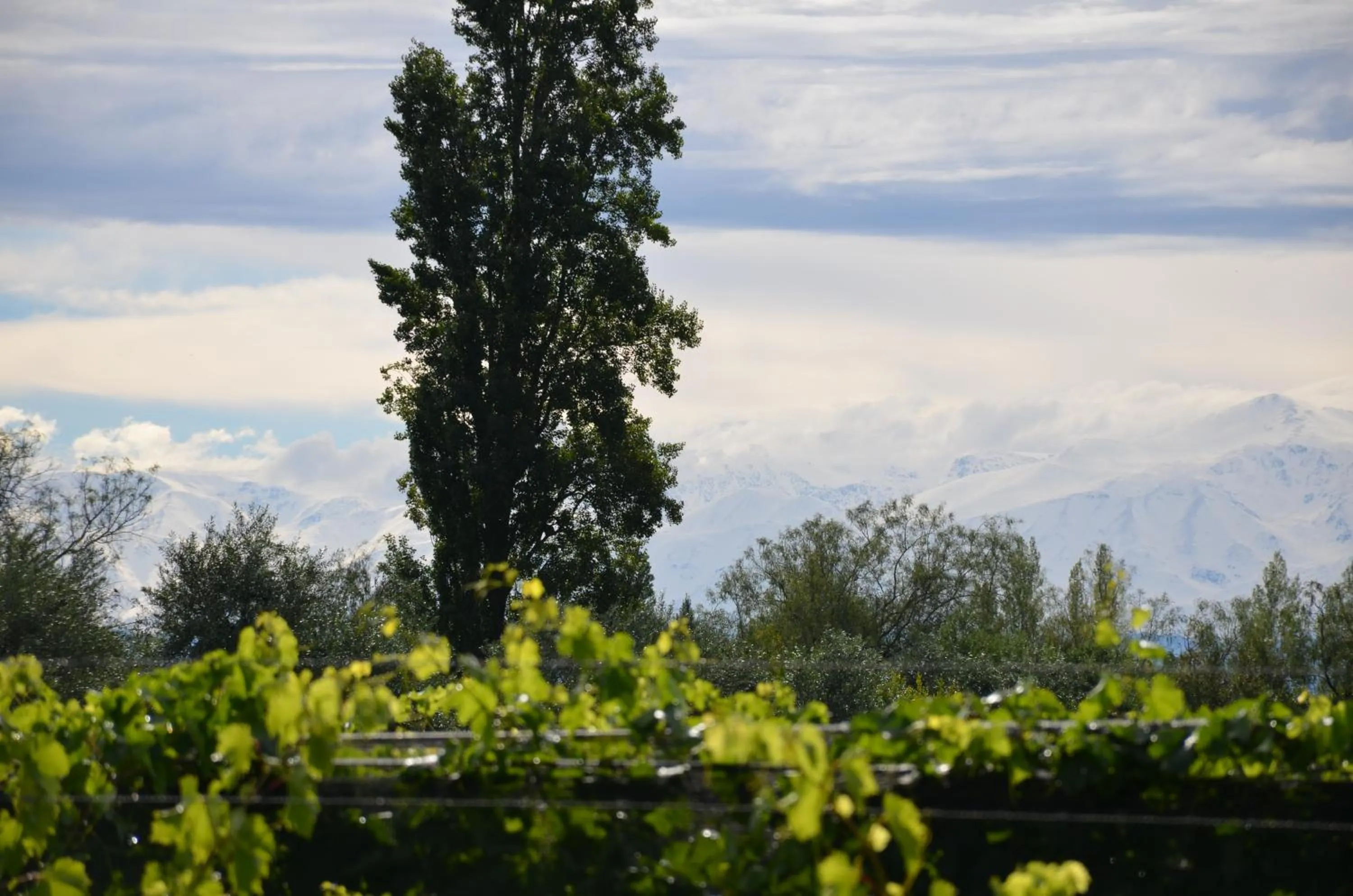 Property building in Finca Fisterra