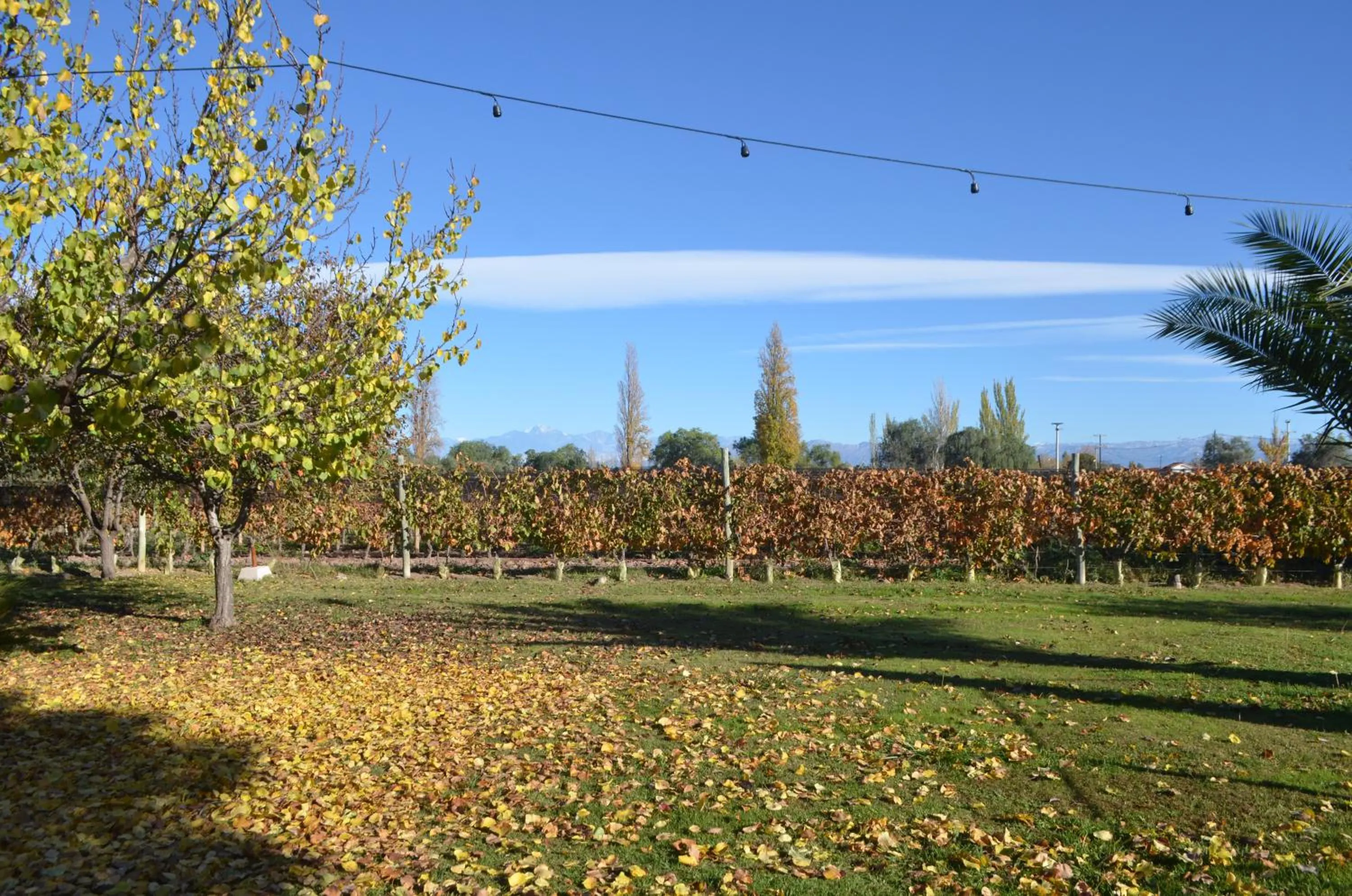 Garden view in Finca Fisterra