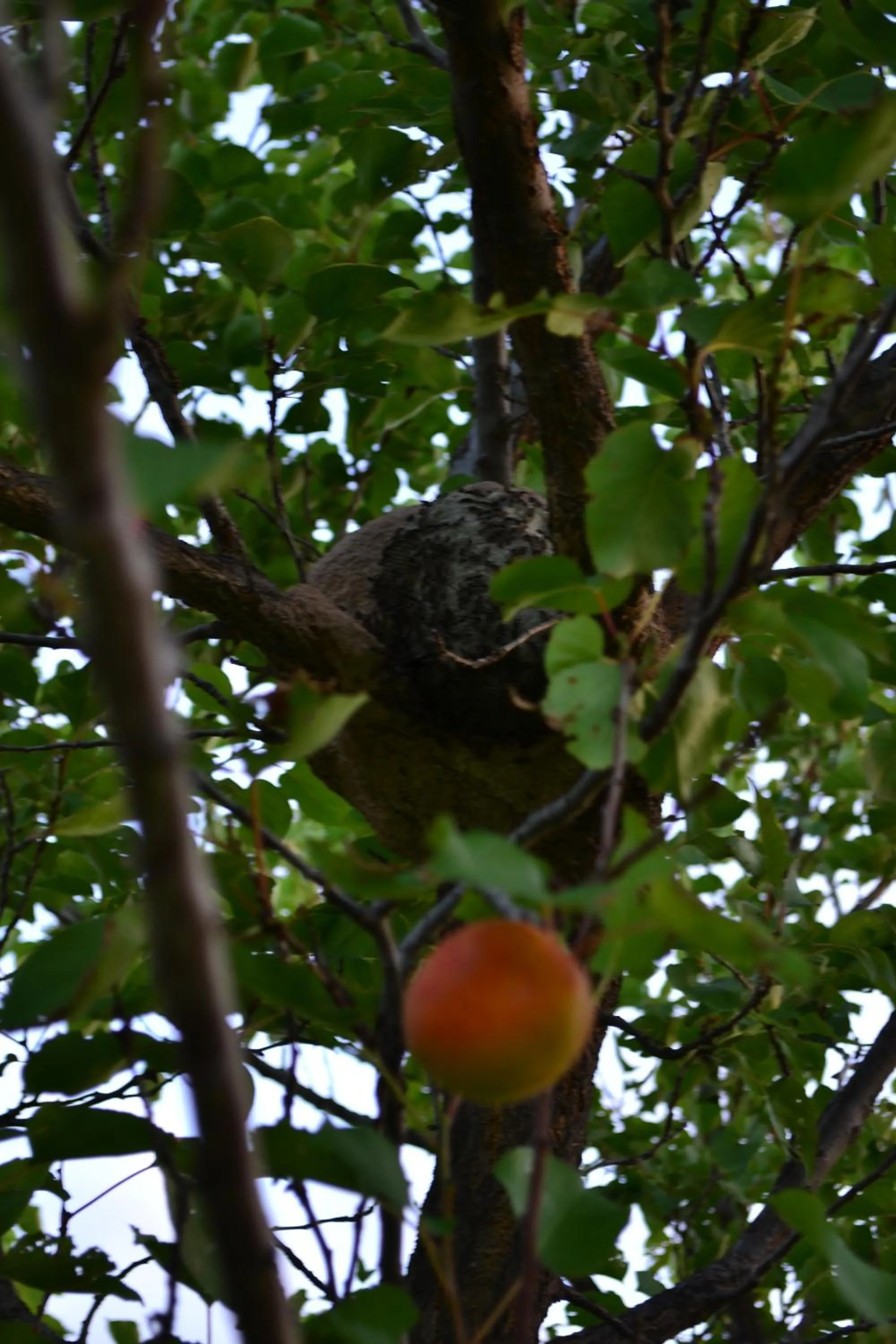Natural landscape in Finca Fisterra