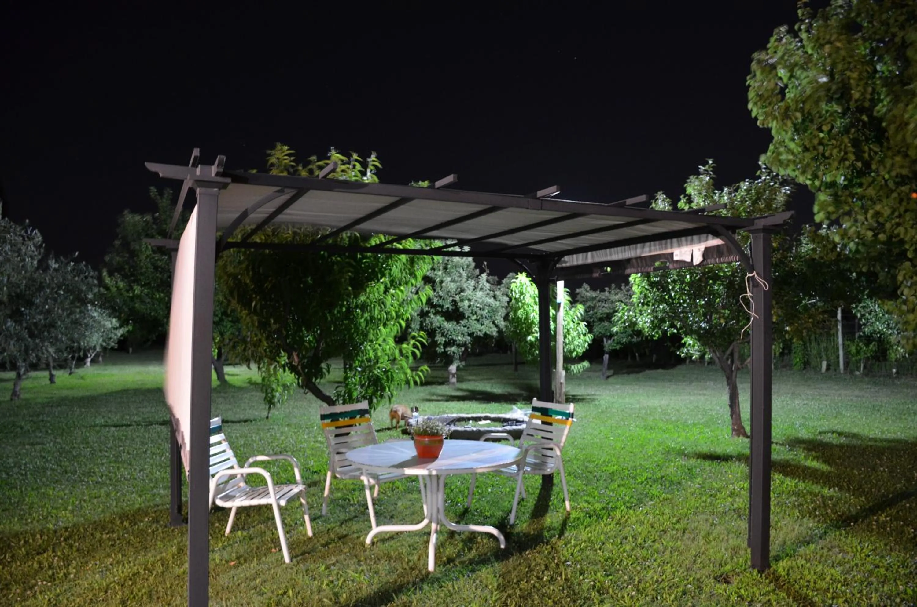 Garden in Finca Fisterra