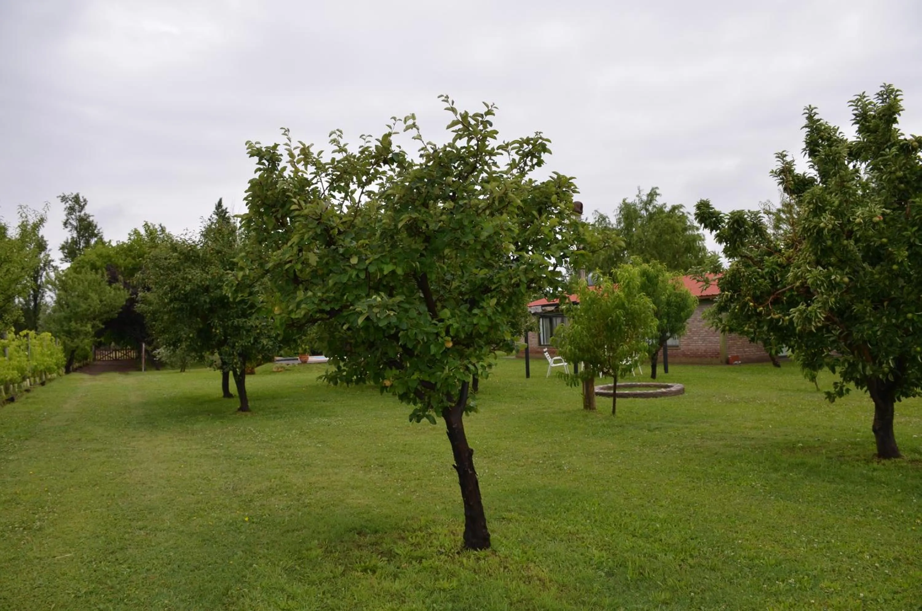 Restaurant/places to eat in Finca Fisterra