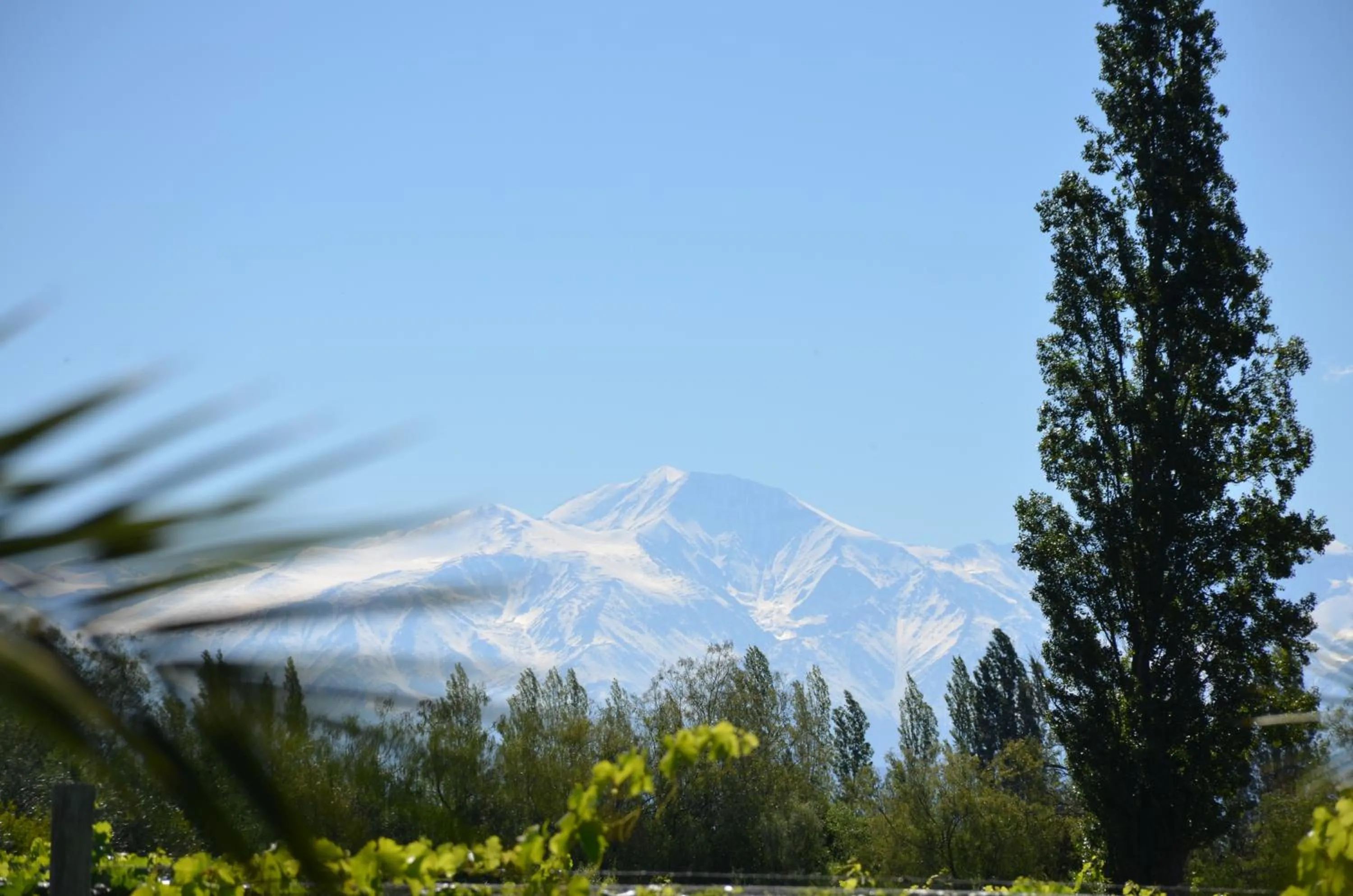 Property building in Finca Fisterra