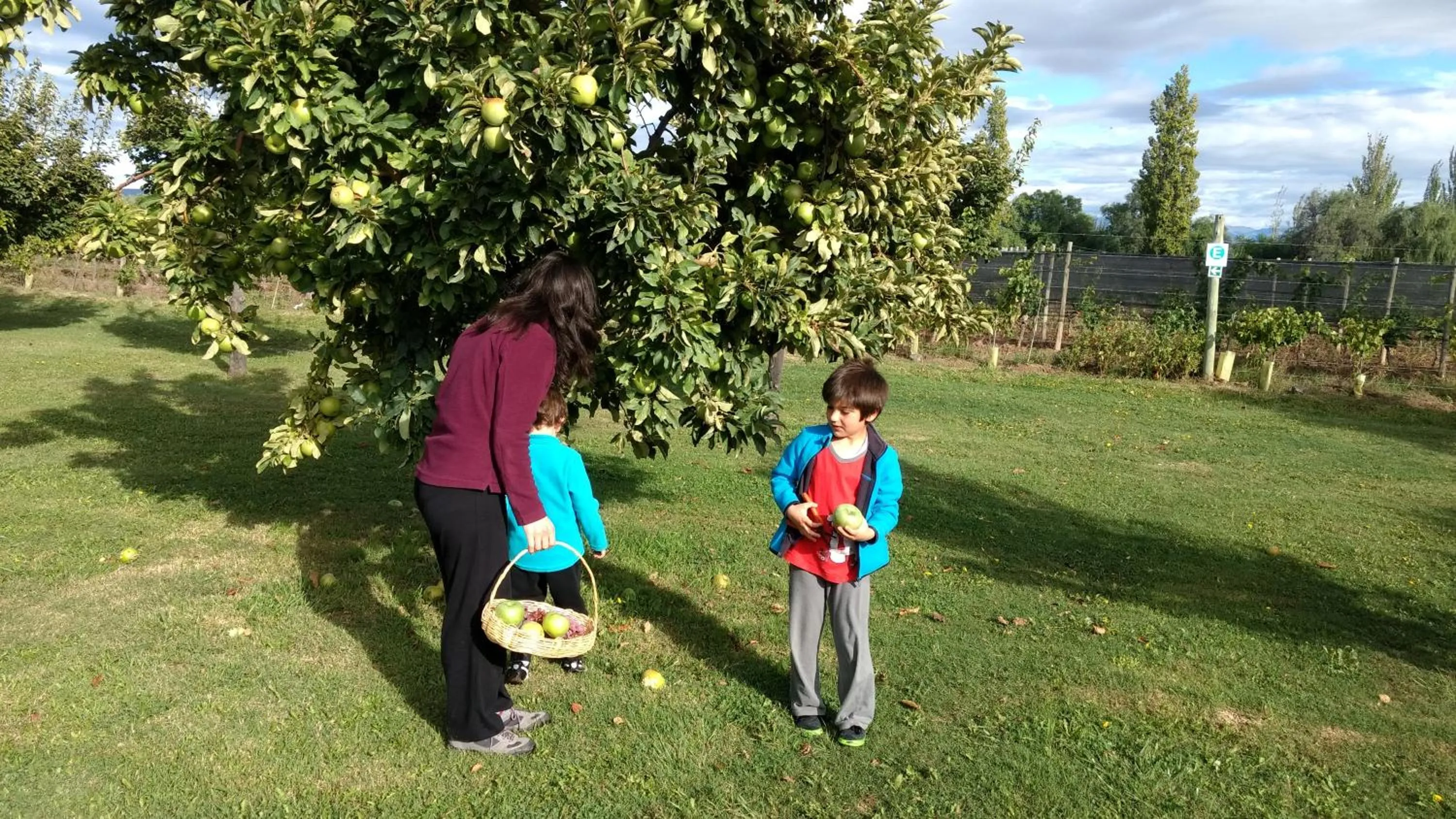 Activities in Finca Fisterra