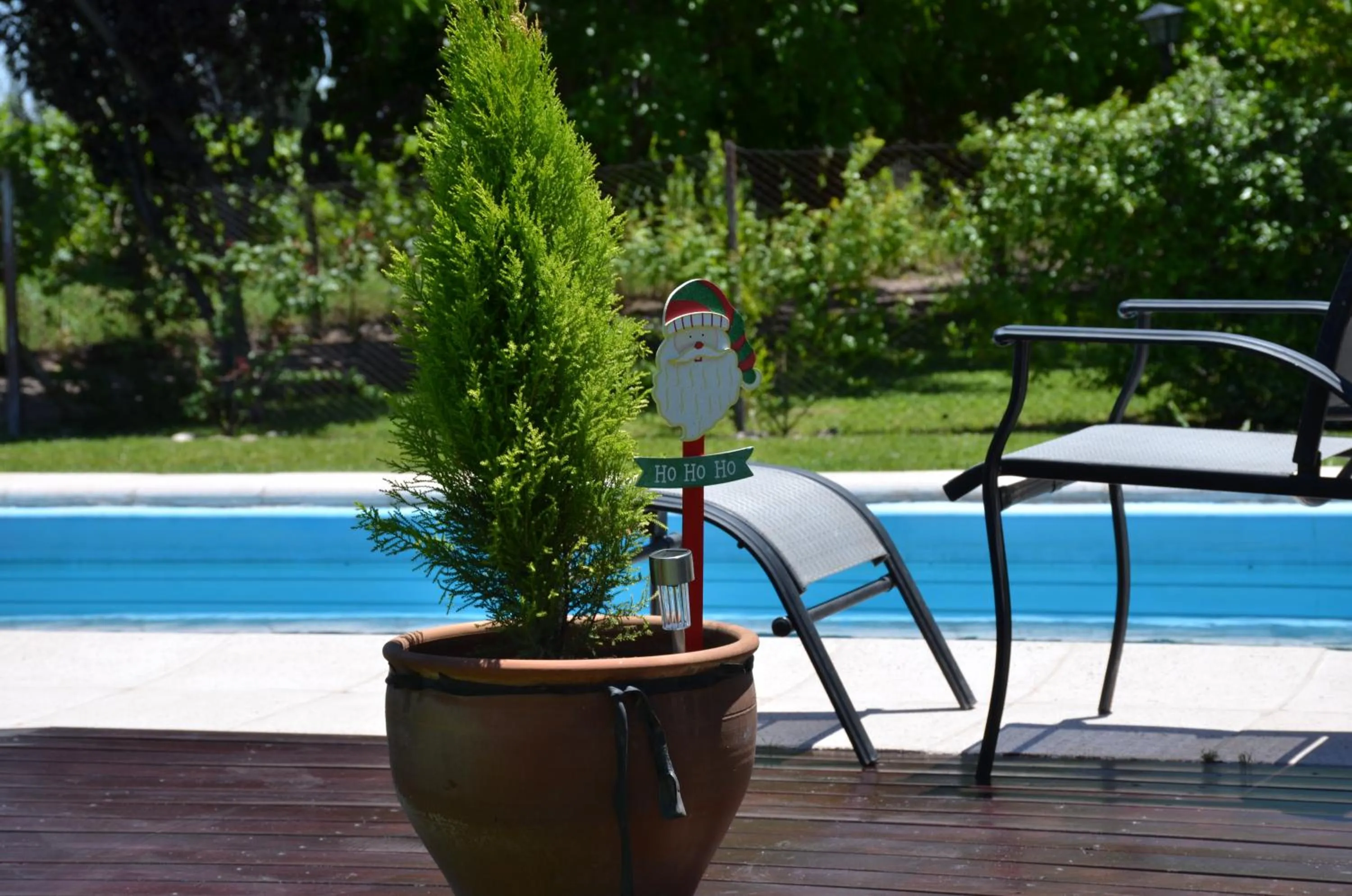 Swimming pool in Finca Fisterra