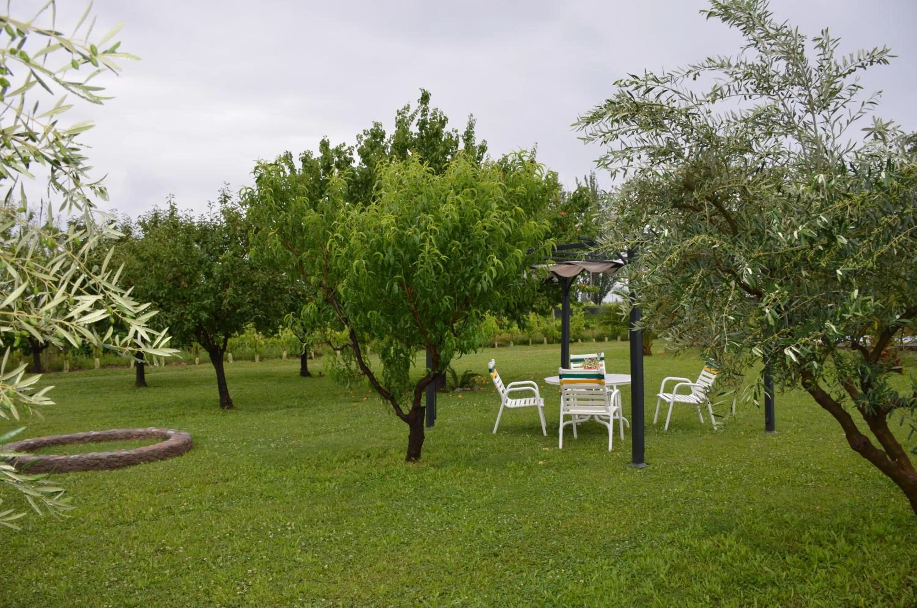 BBQ facilities in Finca Fisterra