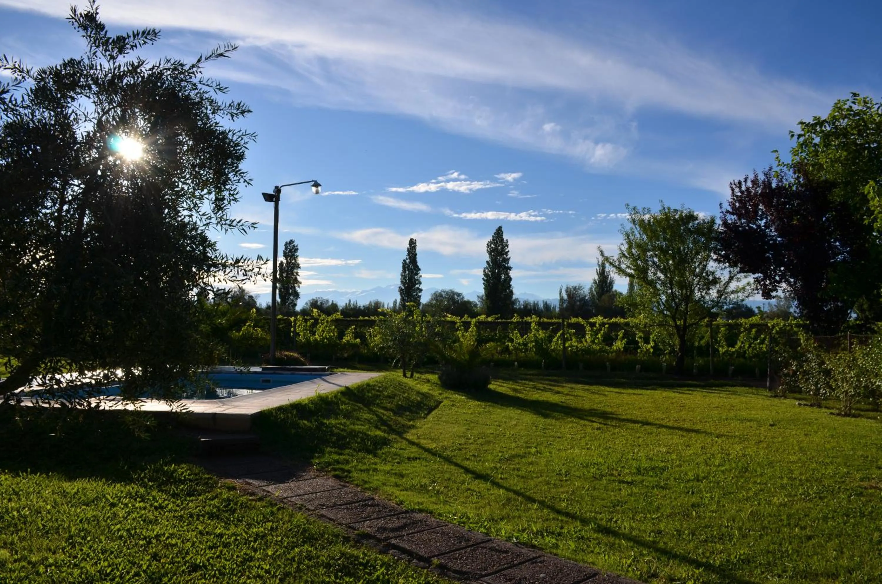 Garden in Finca Fisterra