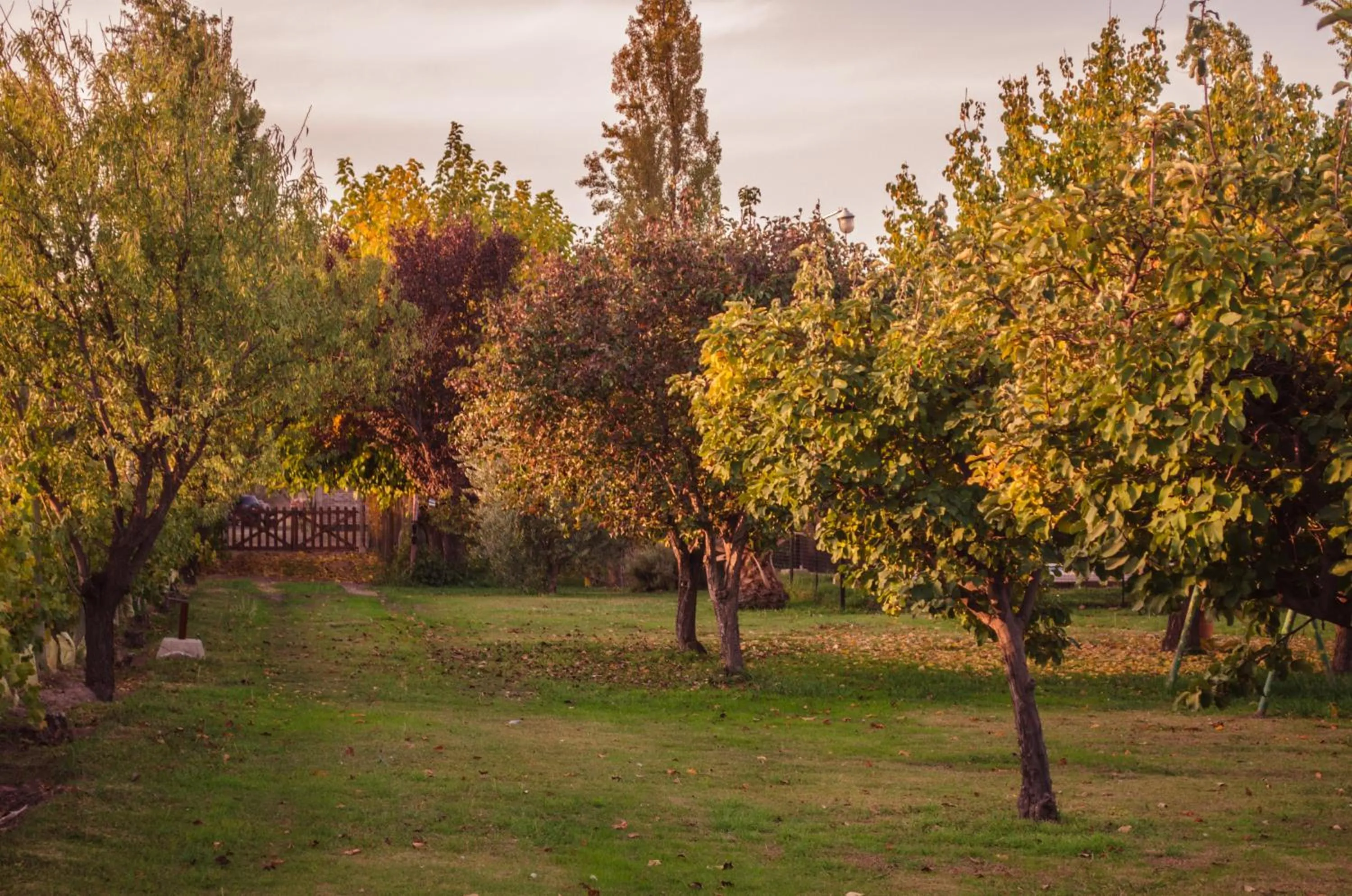 Garden in Finca Fisterra