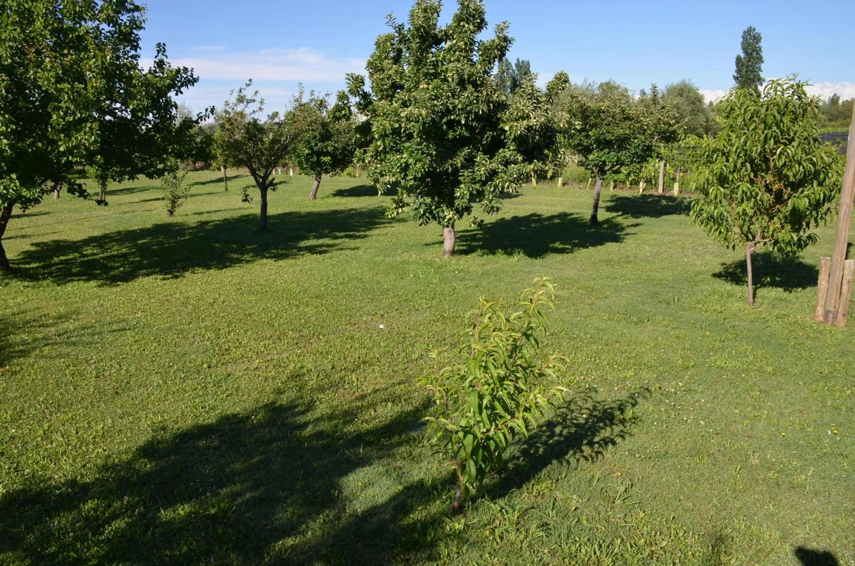 Bird's eye view in Finca Fisterra