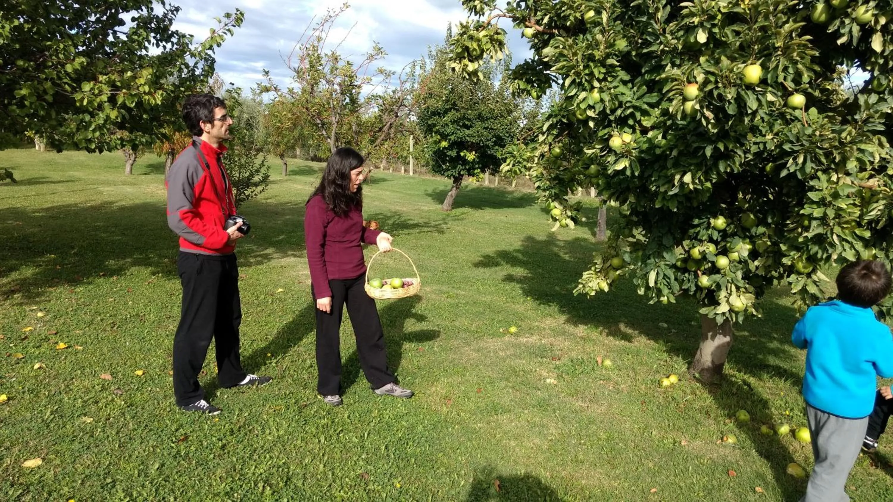 Activities in Finca Fisterra