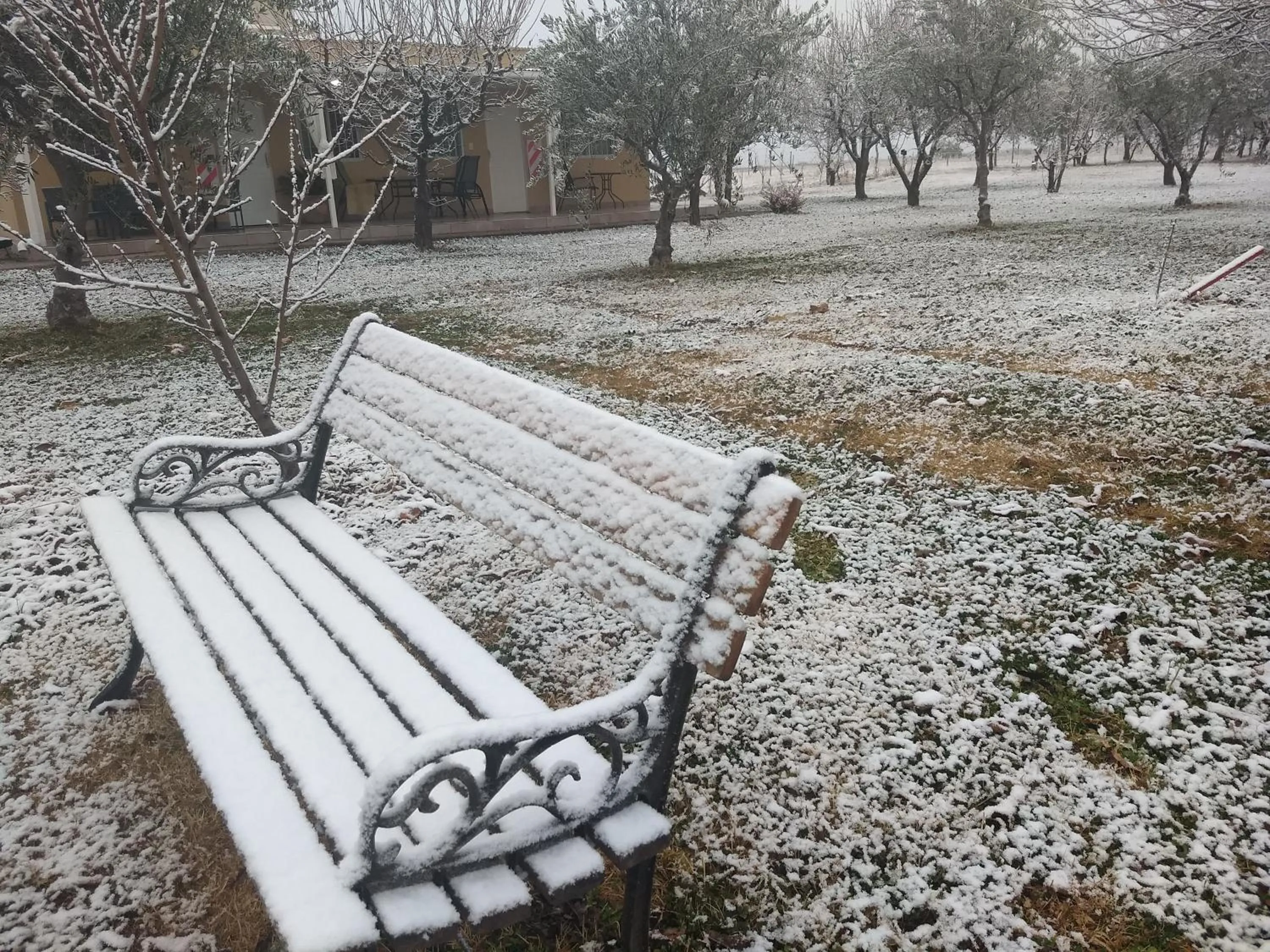 Garden in Finca Fisterra