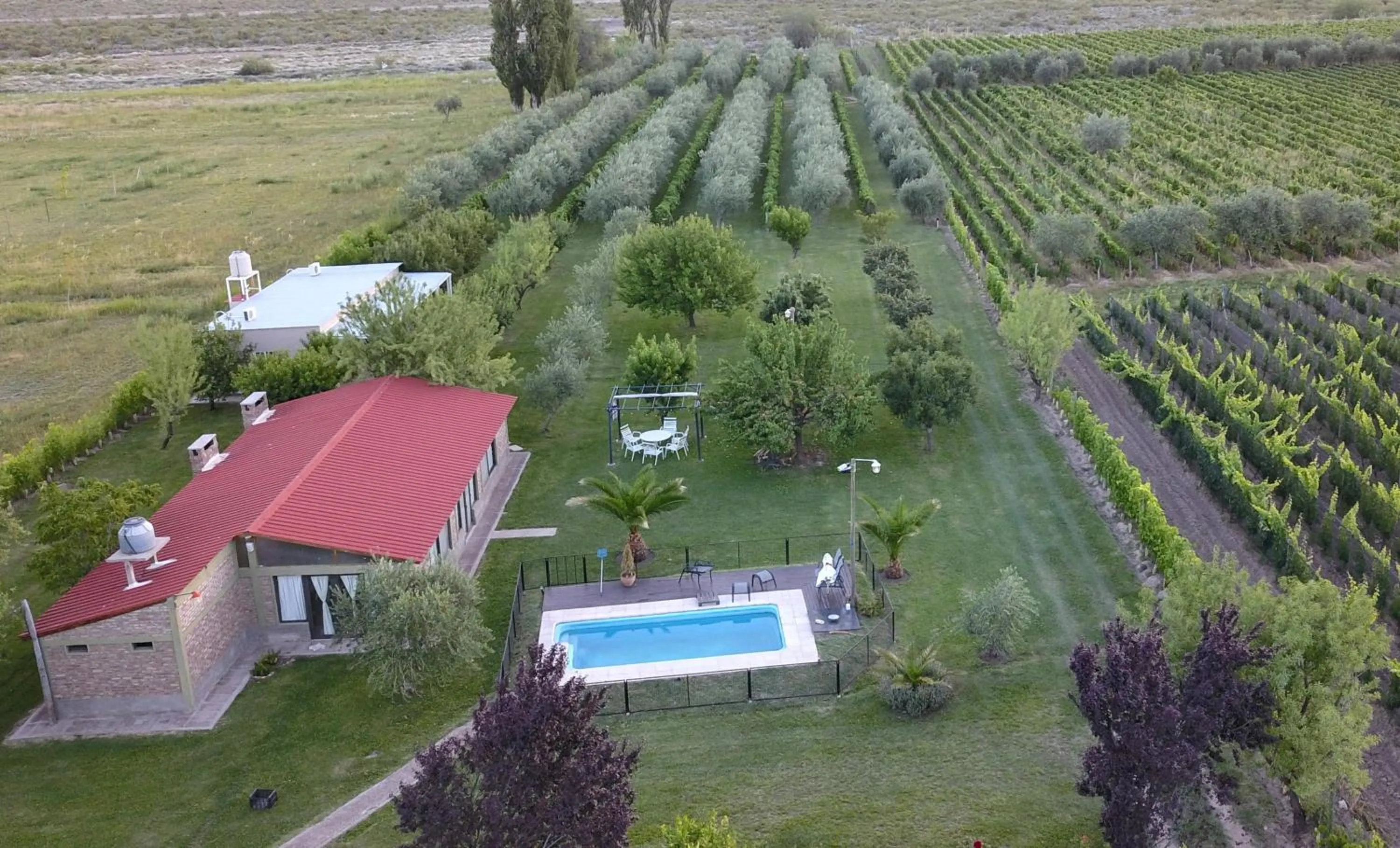 Bird's eye view in Finca Fisterra