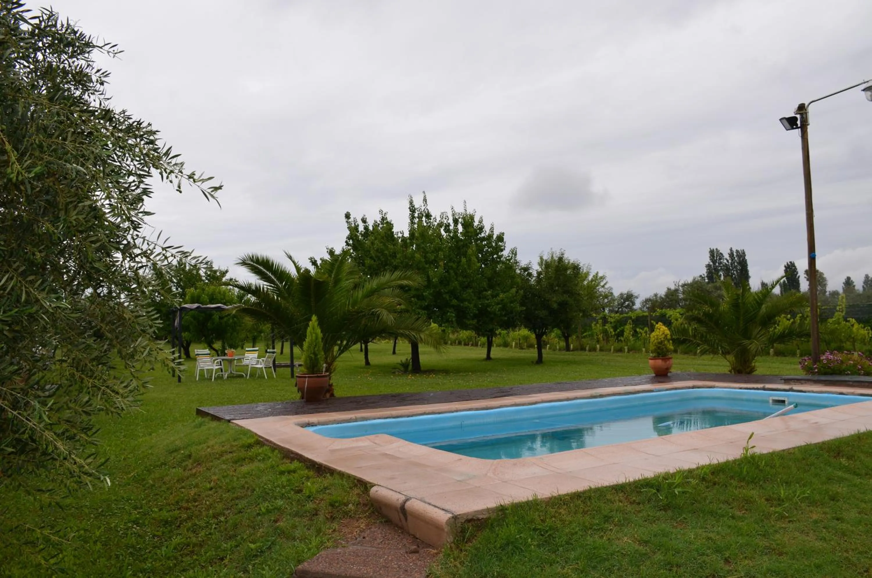 Swimming pool in Finca Fisterra