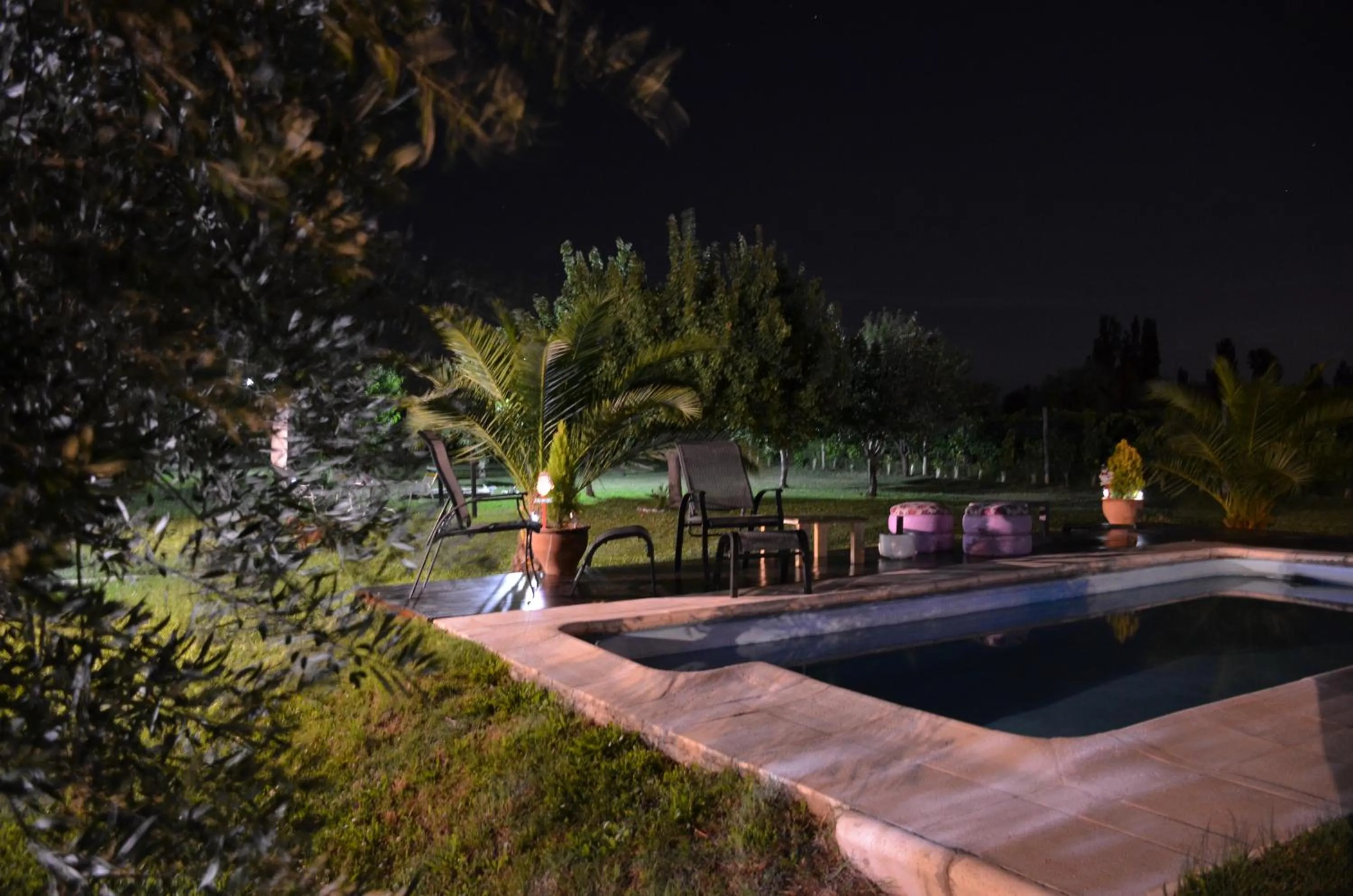Swimming pool in Finca Fisterra