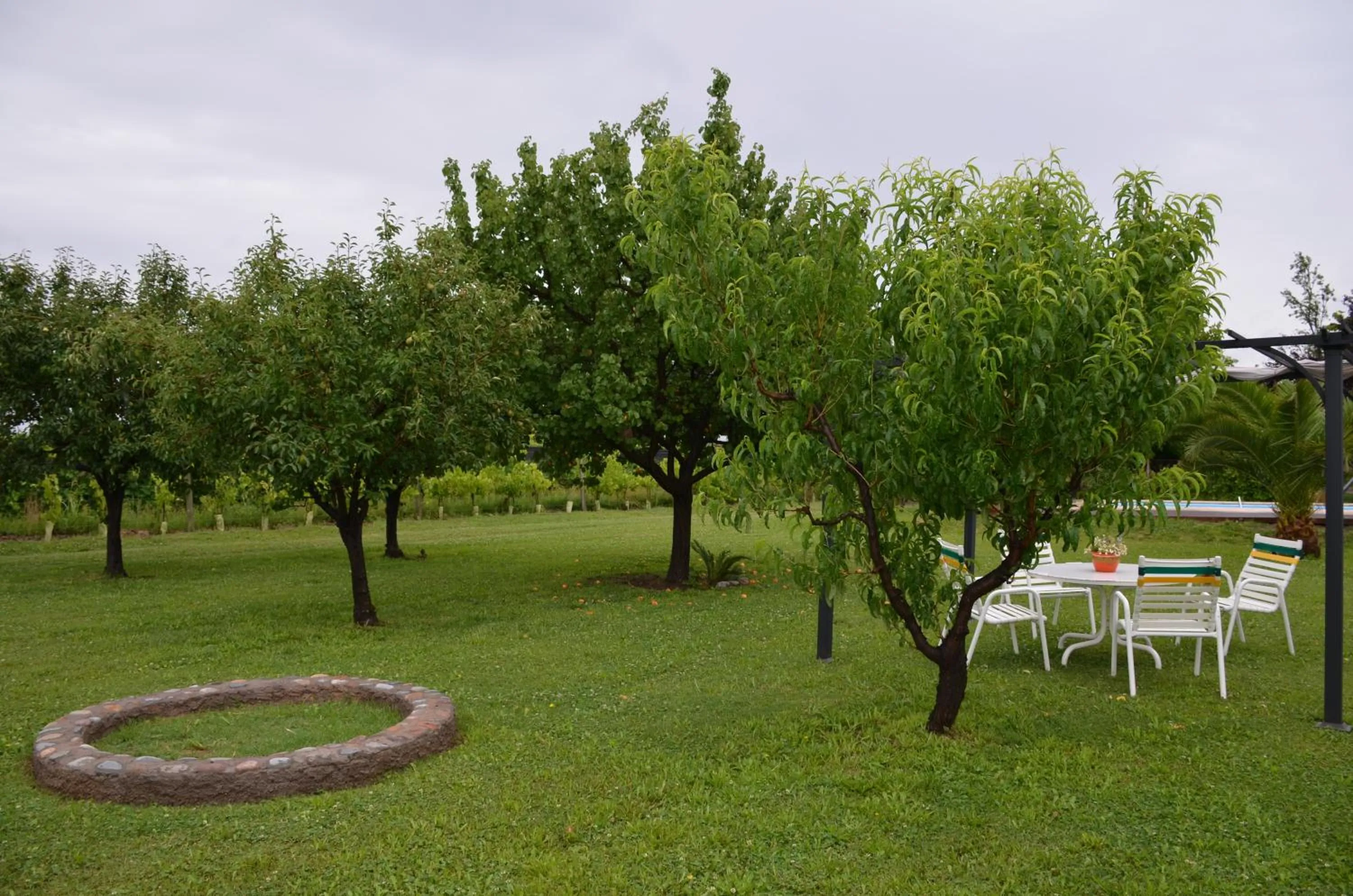 BBQ facilities in Finca Fisterra