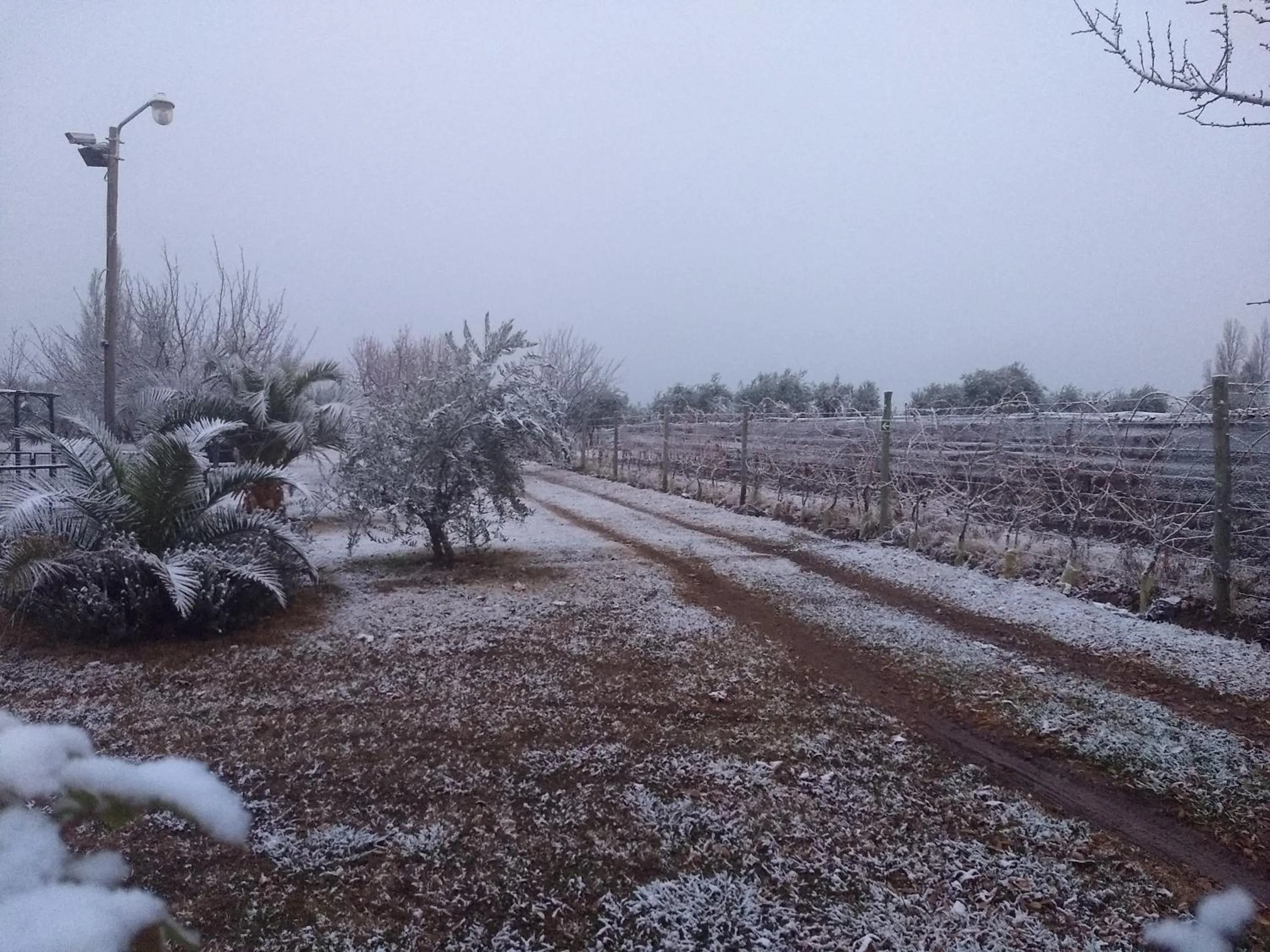 Winter in Finca Fisterra