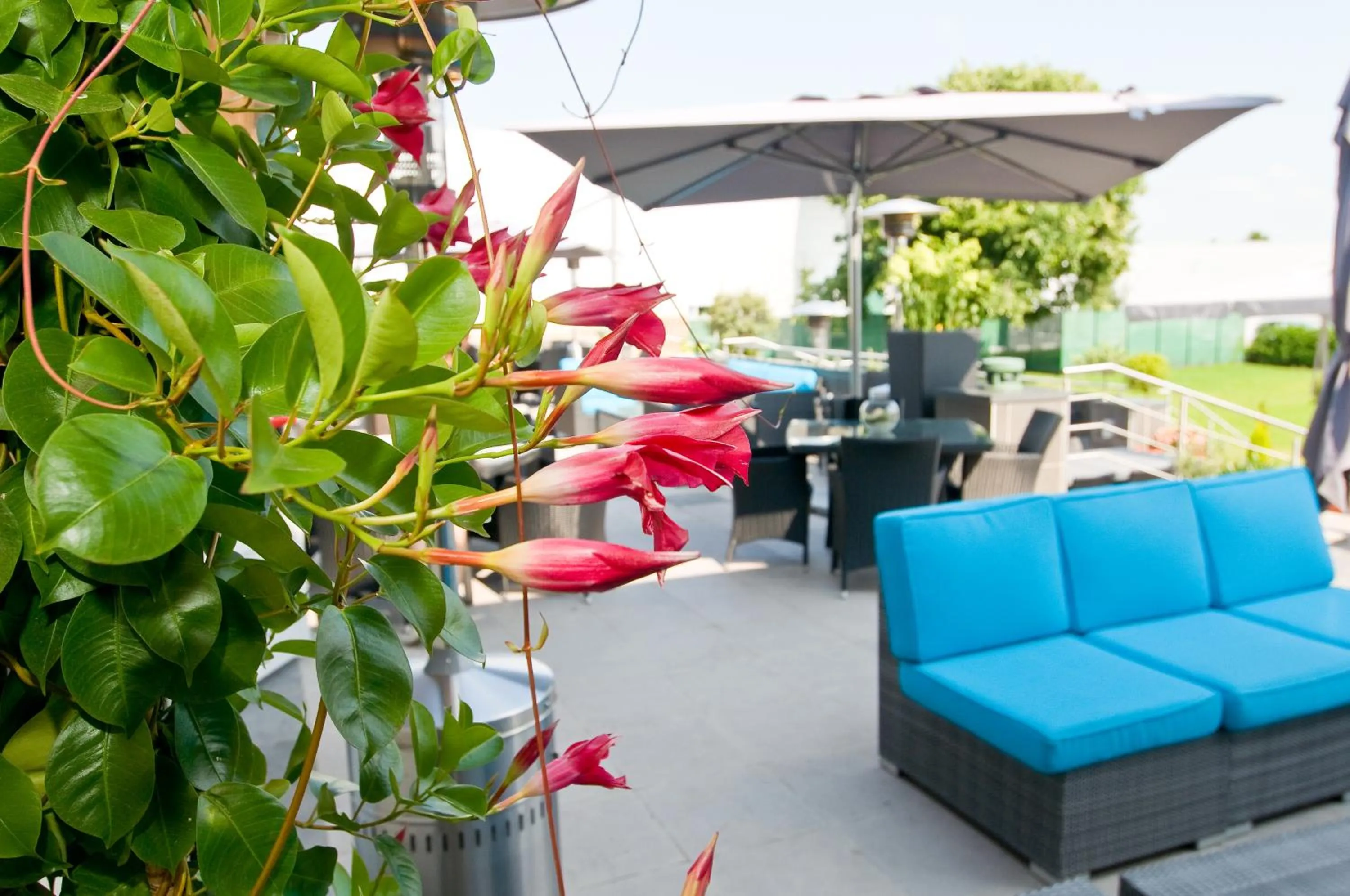 Balcony/Terrace in Hotel Malpertuus