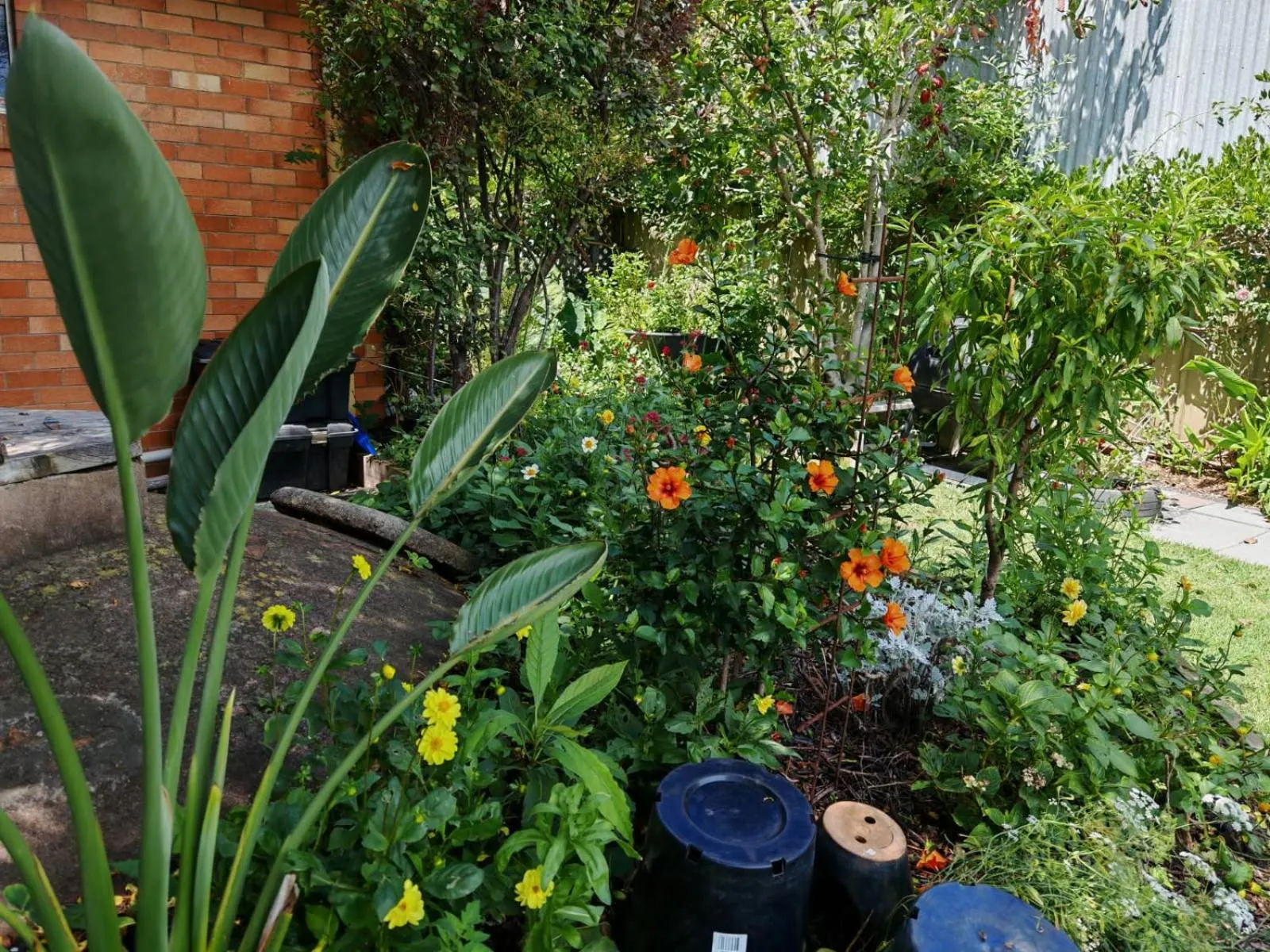 Garden view in The Bank Guesthouse Glen Innes