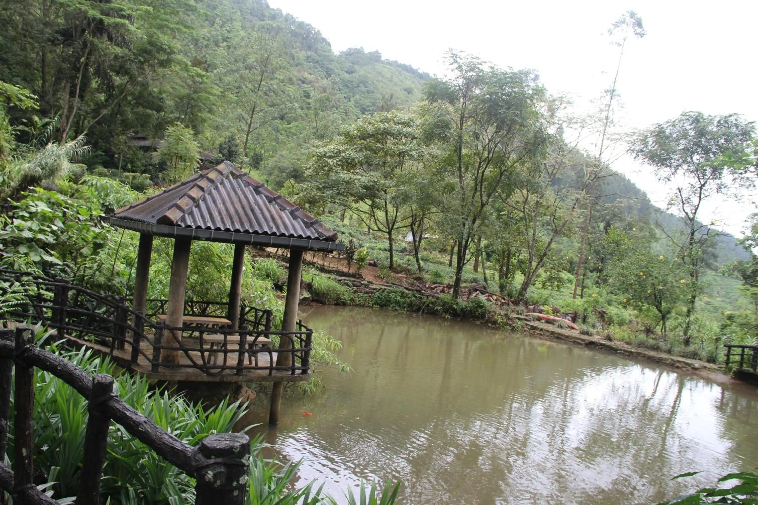 Garden in Maskeli Oya Family Park