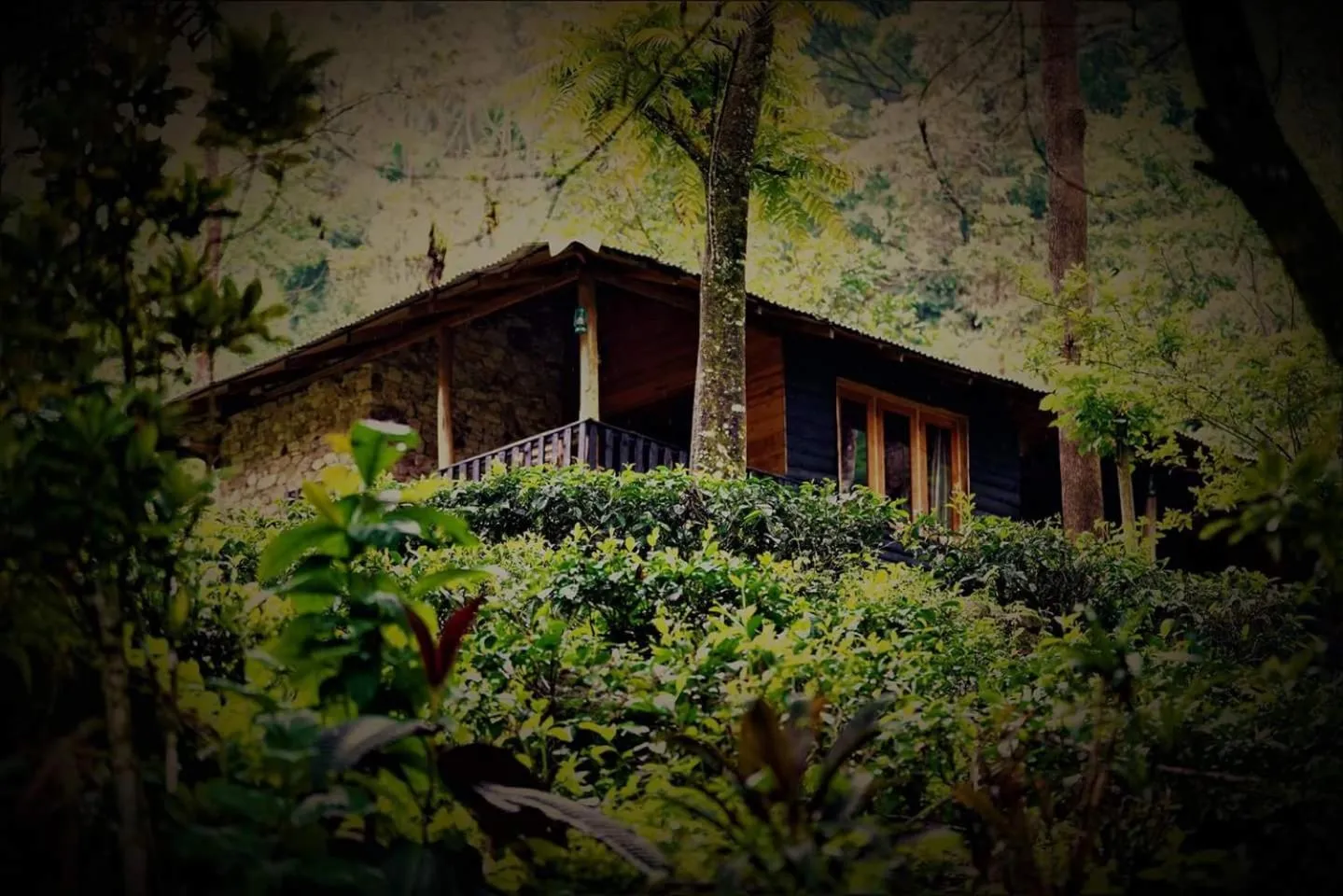 Autumn in Maskeli Oya Family Park