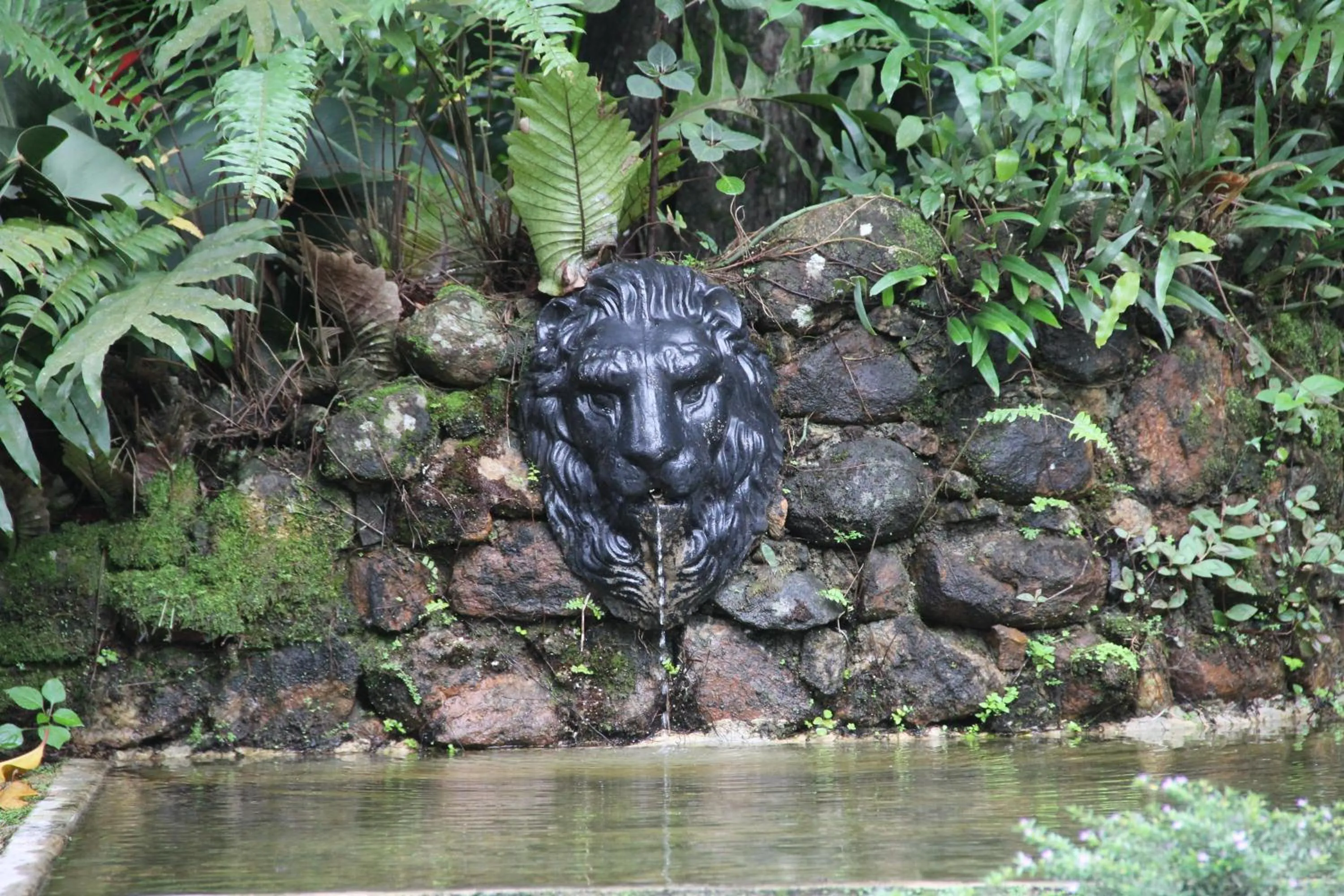 Garden in Maskeli Oya Family Park