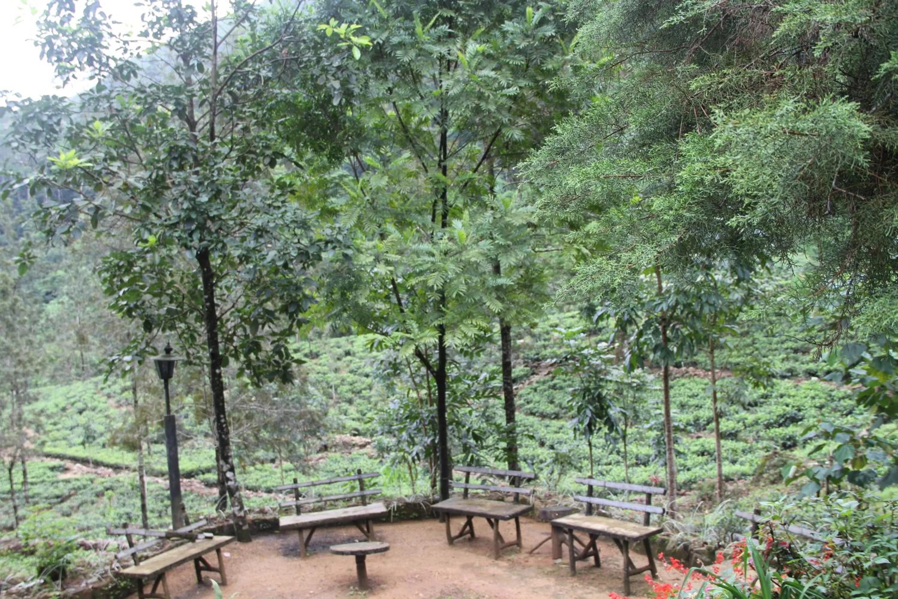 BBQ facilities in Maskeli Oya Family Park