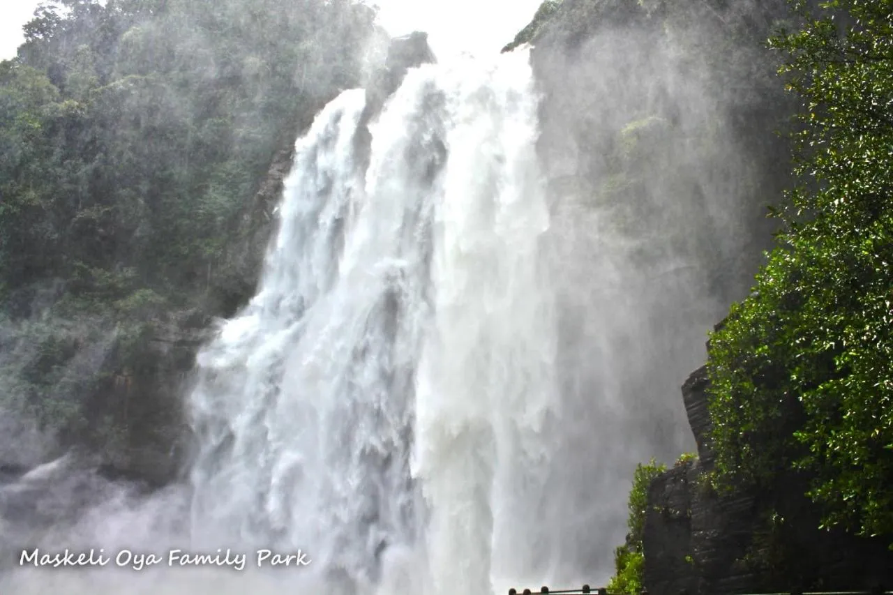 Maskeli Oya Family Park