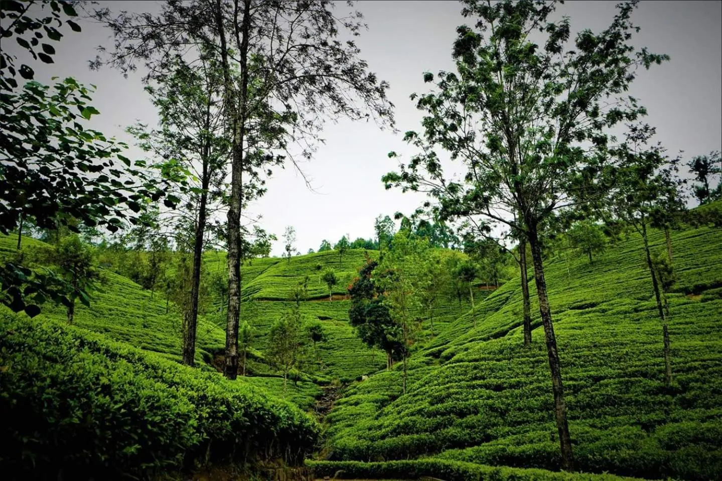 On site in Maskeli Oya Family Park