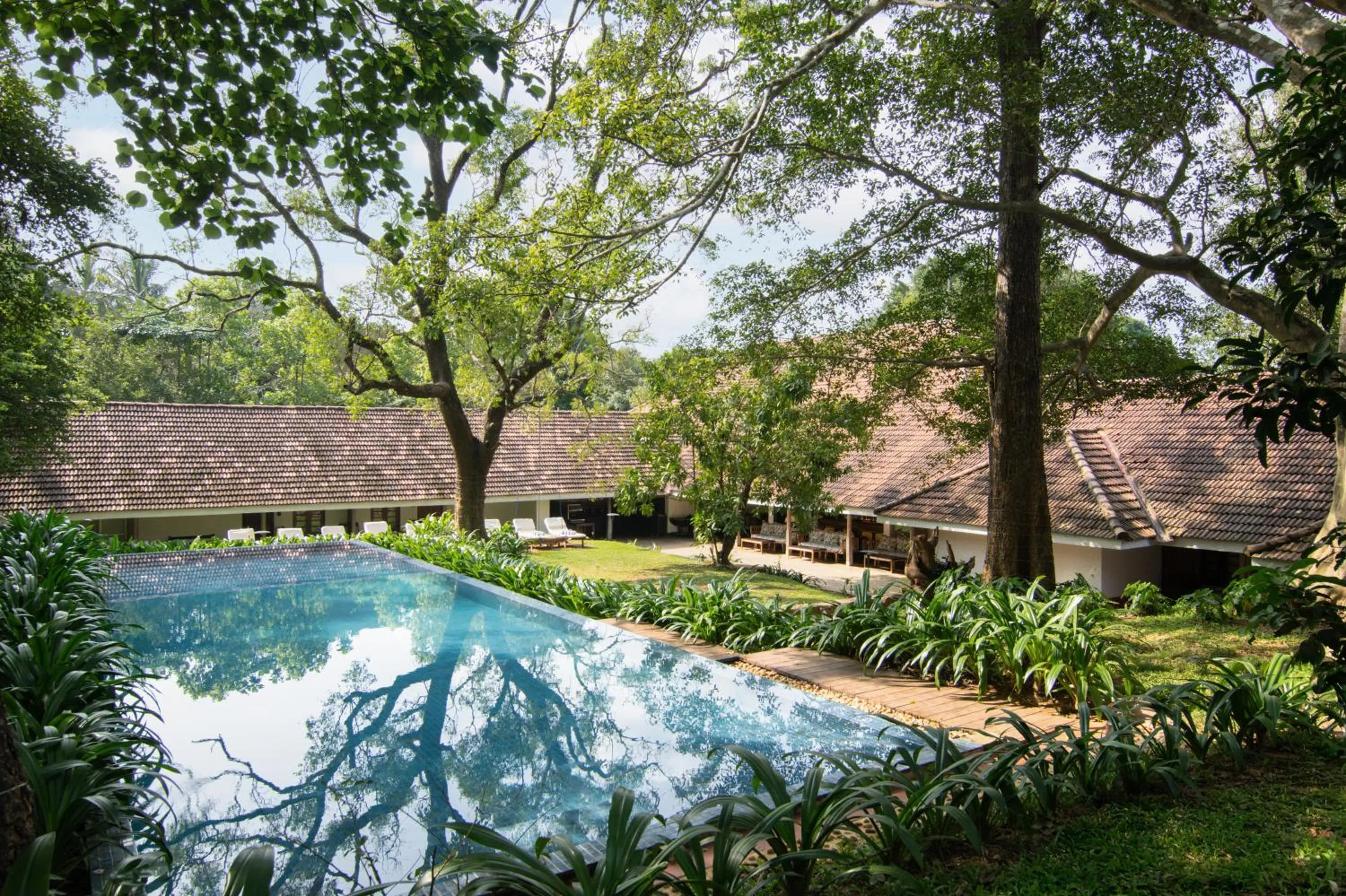 Pool view in EKHO Sigiriya - 700 meters to Sigiriya Rock