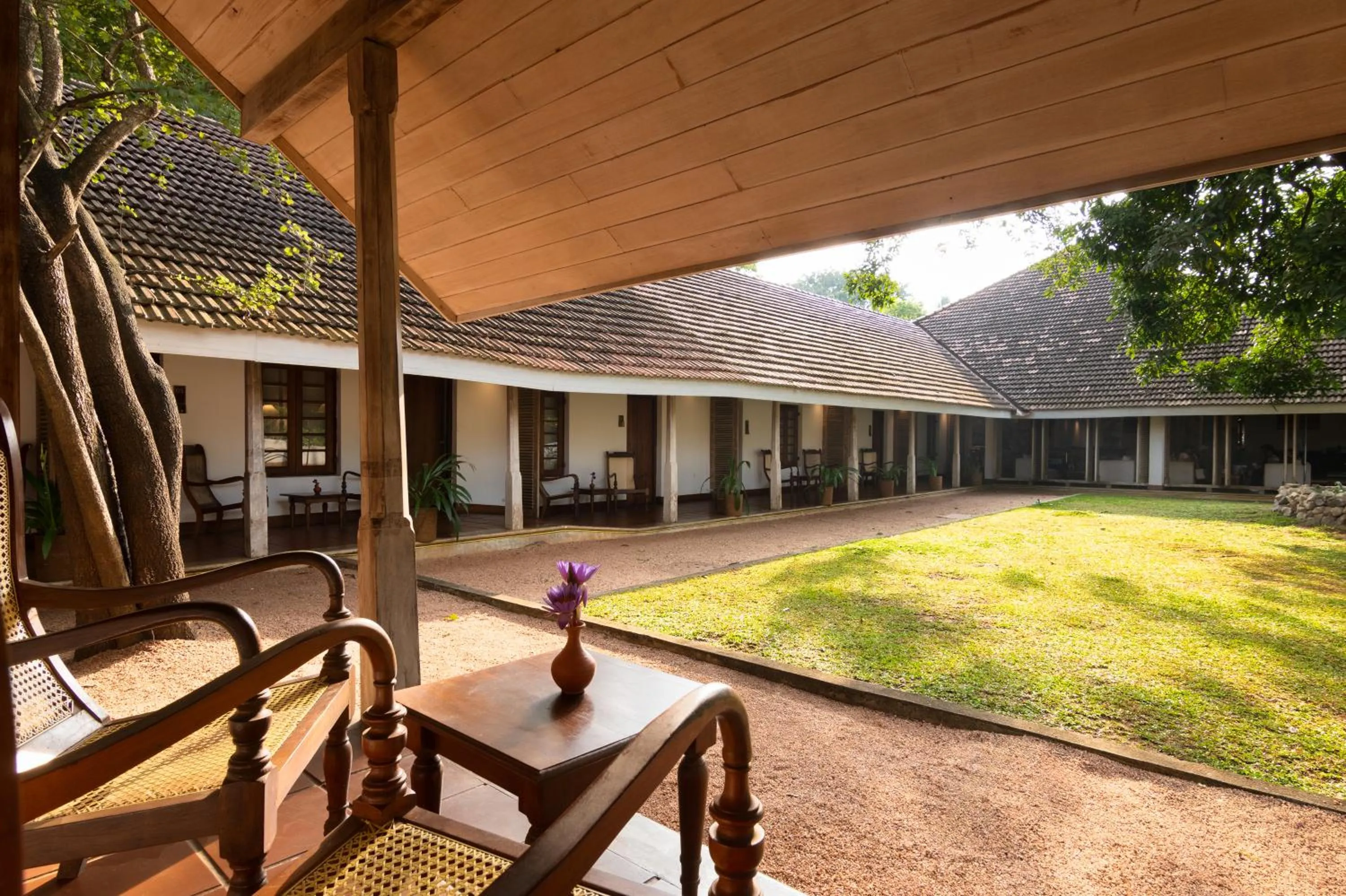 Garden in EKHO Sigiriya - 700 meters to Sigiriya Rock
