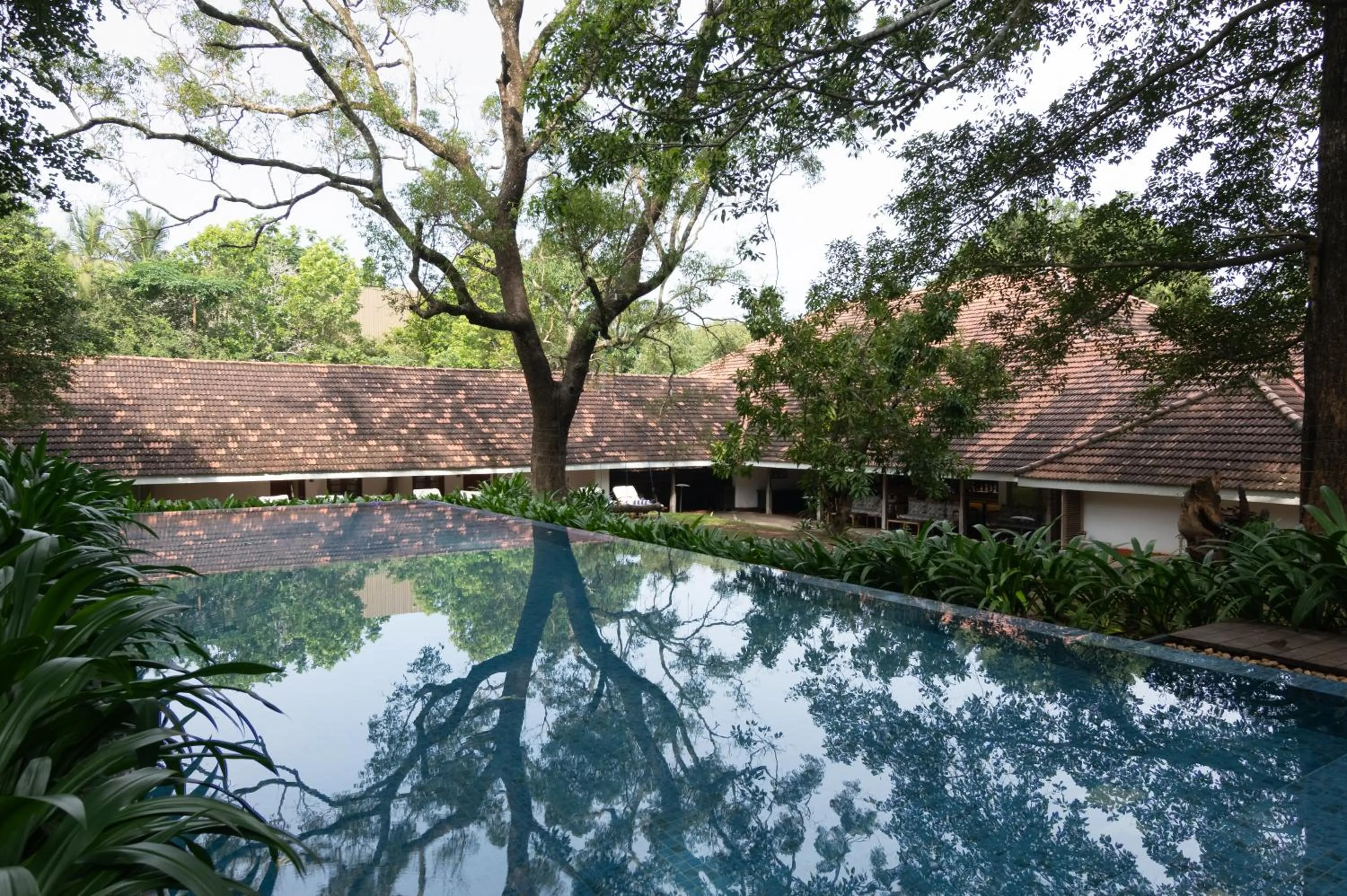 Swimming pool in EKHO Sigiriya - 700 meters to Sigiriya Rock