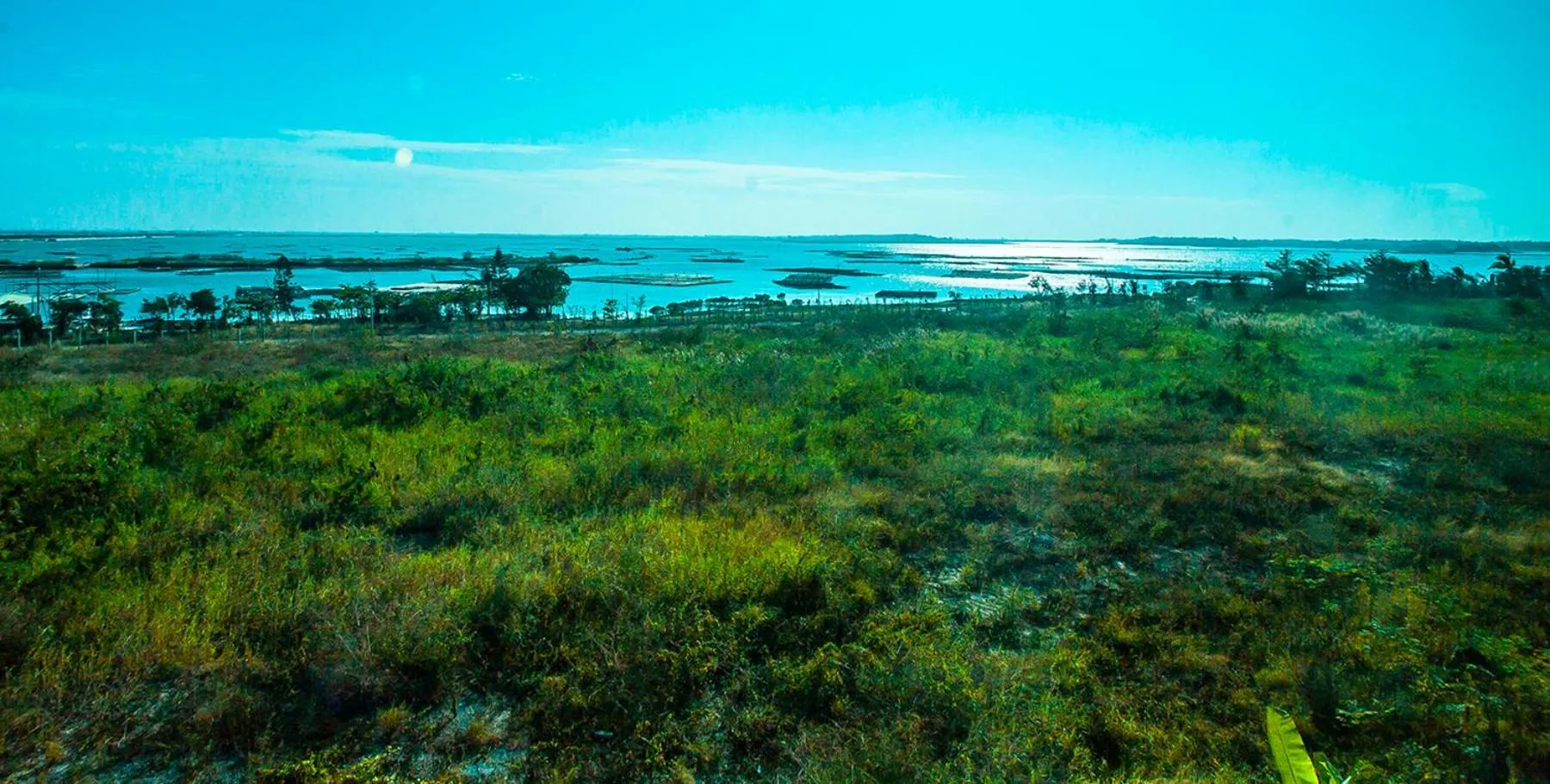 Natural landscape in Light Shadow