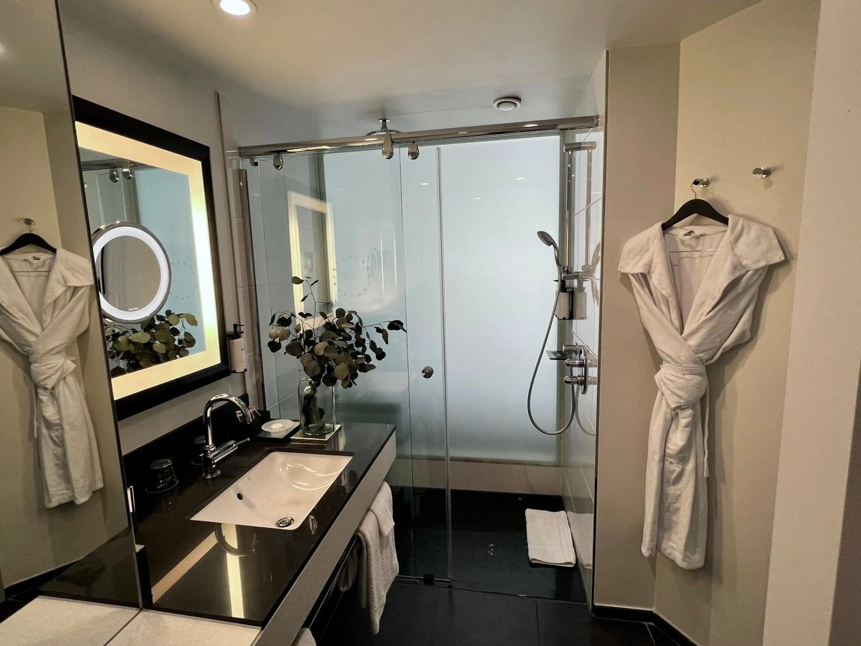 Shower in Sofitel Brussels Europe