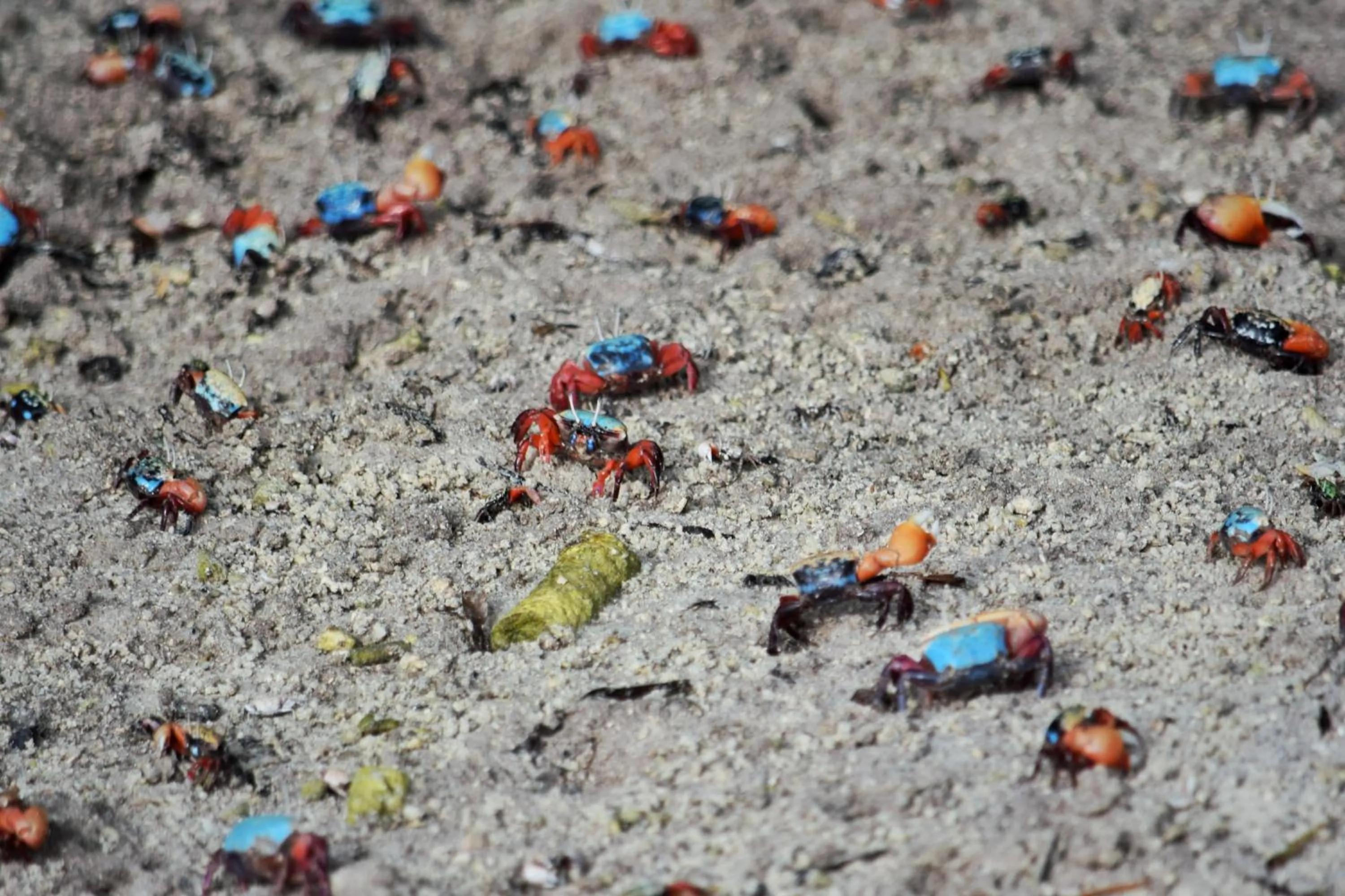 Off site in The Sunrise Huraa