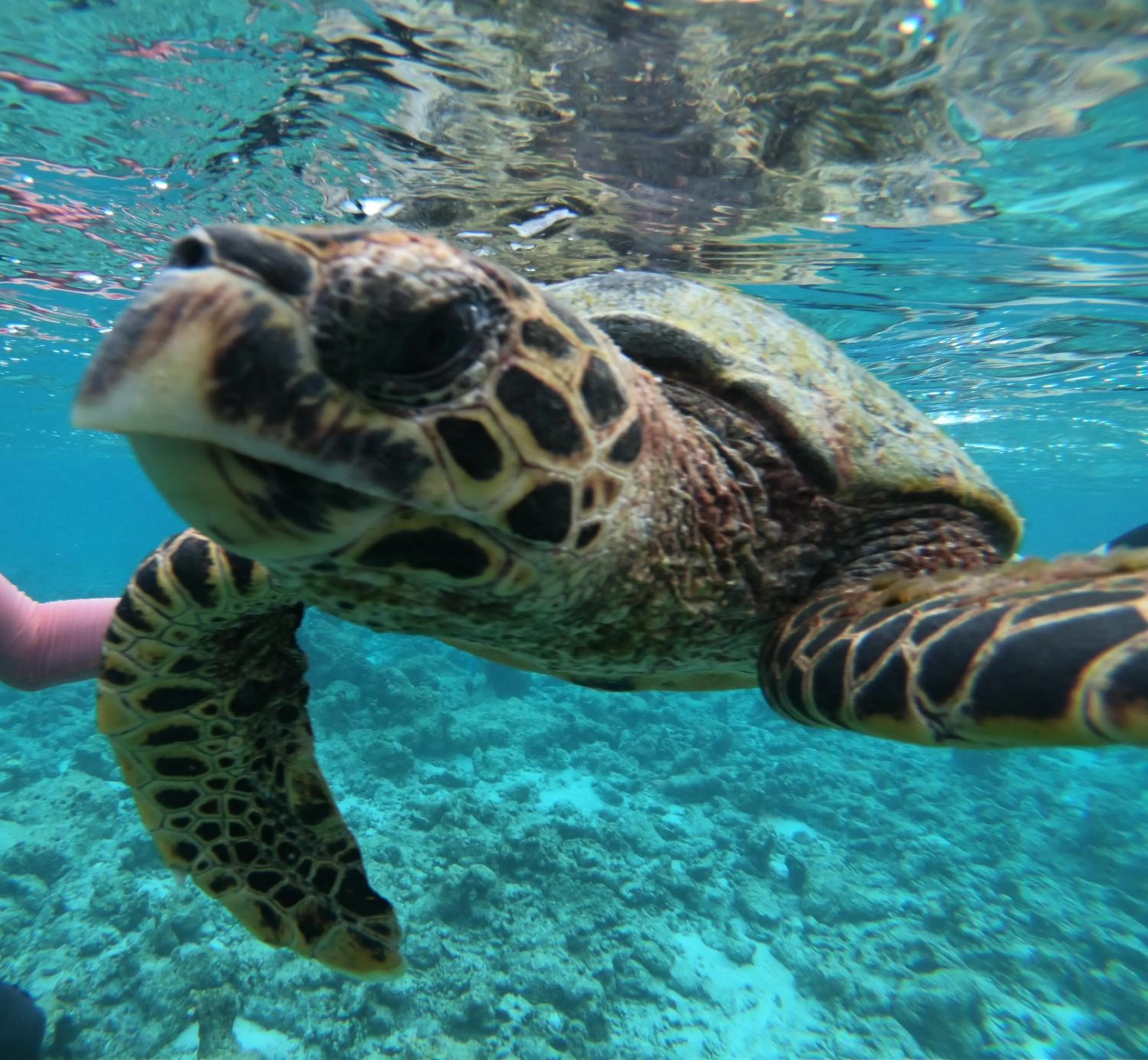 Off site in The Sunrise Huraa