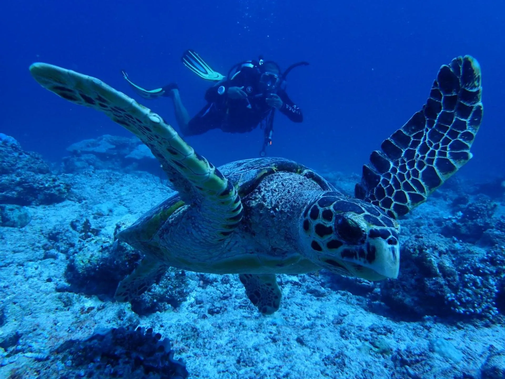 Fishing in The Sunrise Huraa