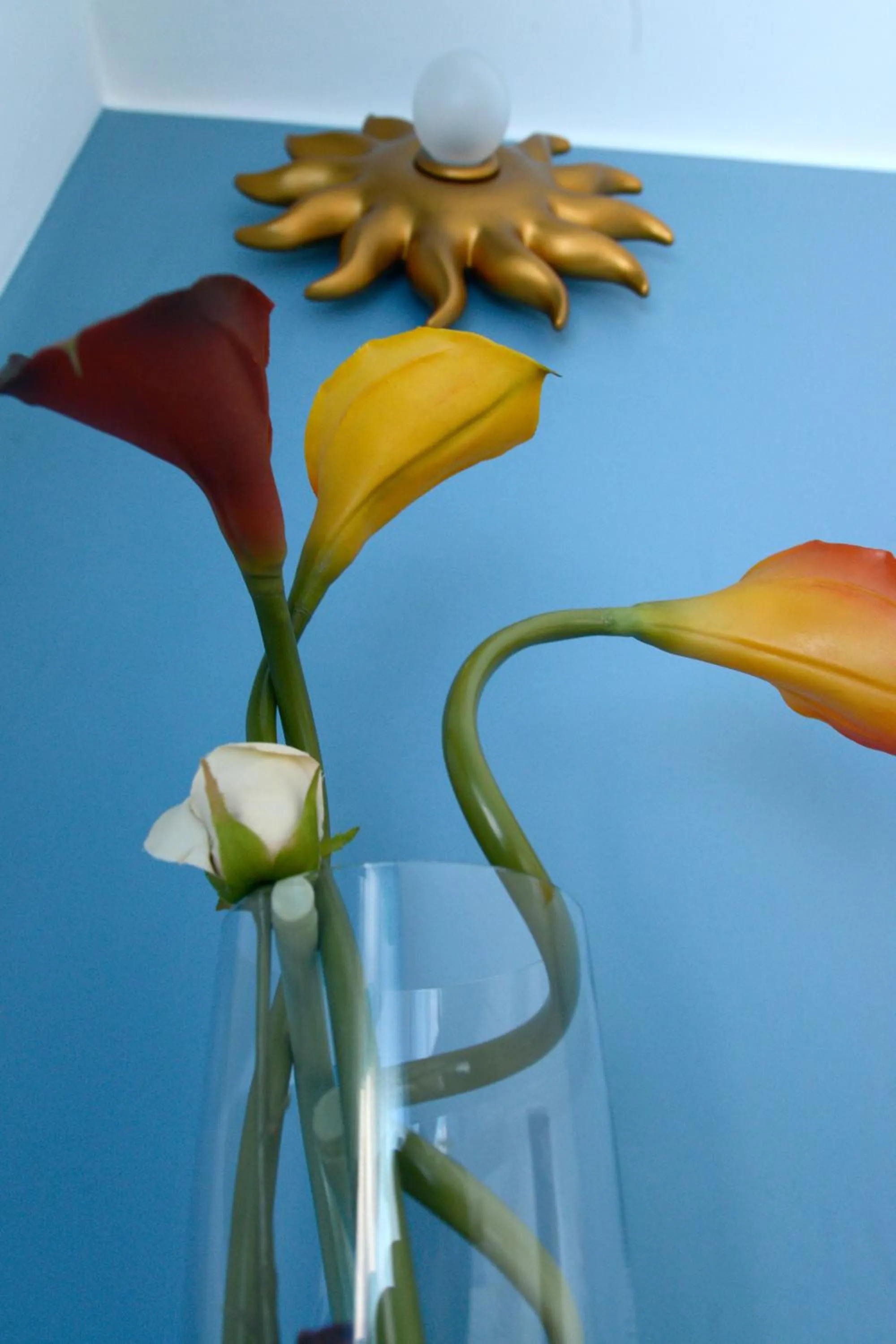 Decorative detail in Uno Sguardo Sui Sassi